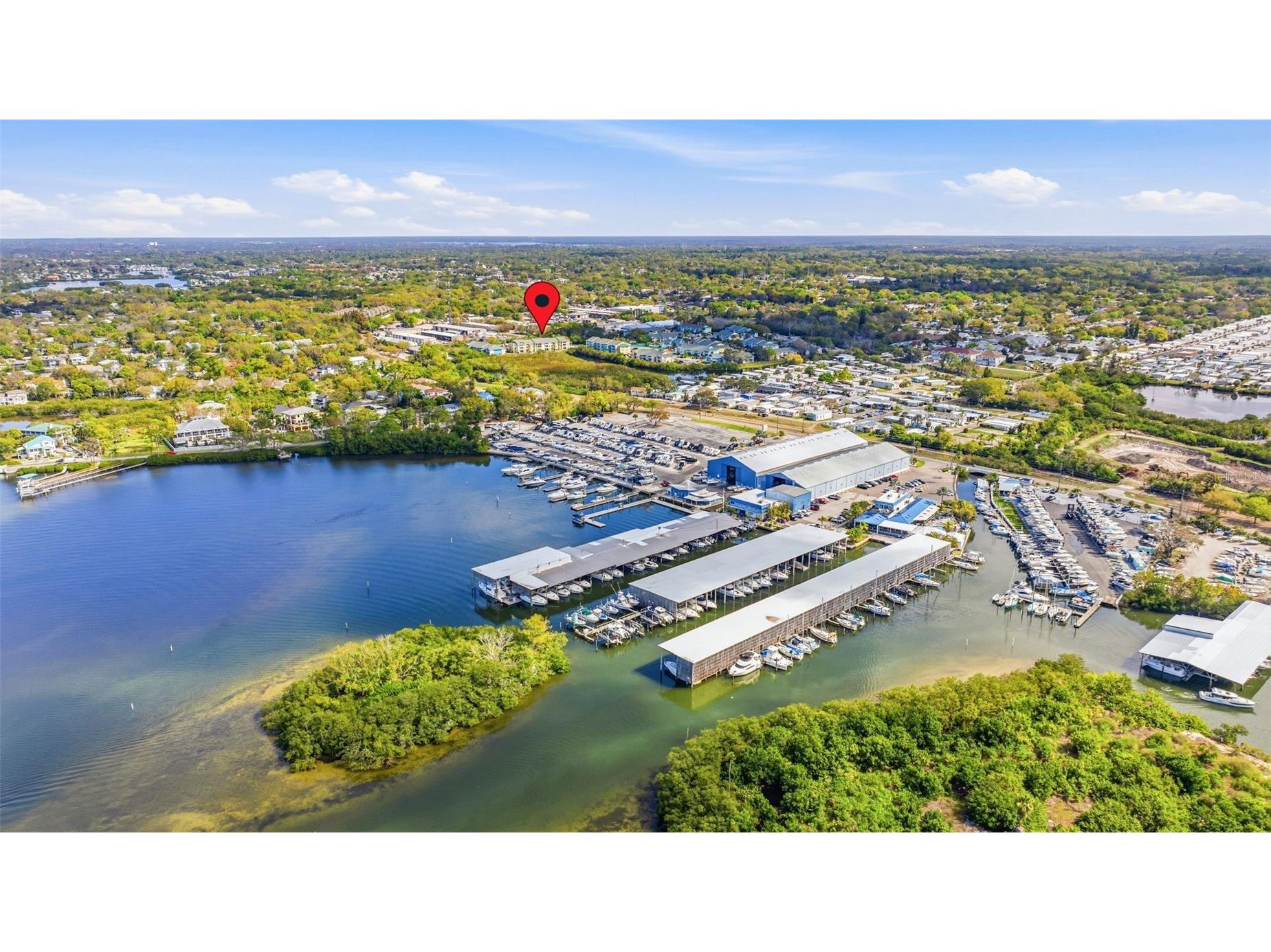 455 Alt 19 S #163 Palm Harbor FL 34683 TB8479817 image38