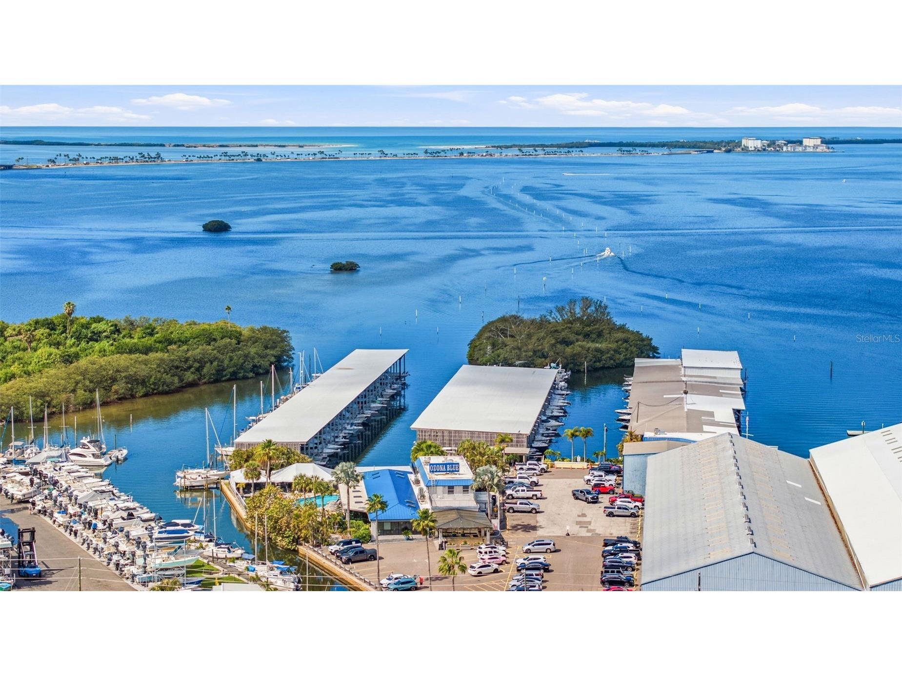 455 Alt 19 S #163 Palm Harbor FL 34683 TB8479817 image39
