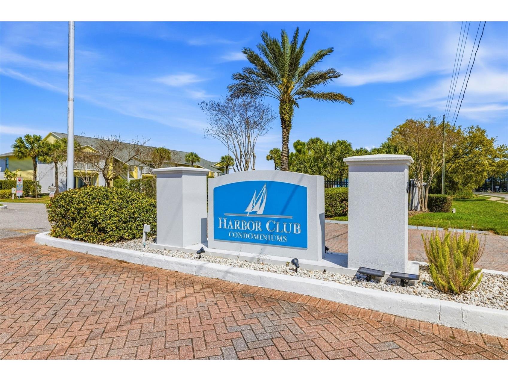 455 Alt 19 S #163 Palm Harbor FL 34683 TB8479817 image45