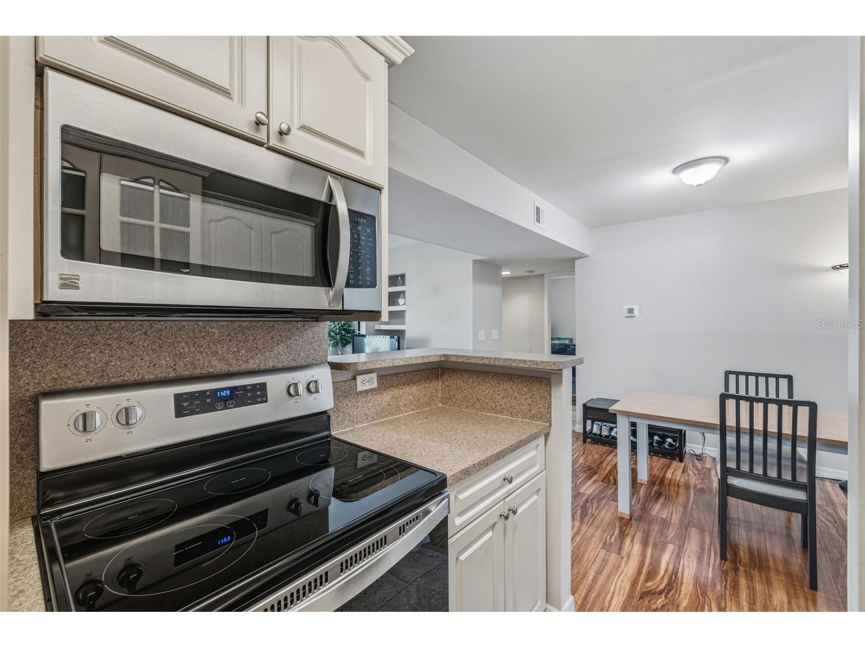 455 Alt 19 S #163 Palm Harbor FL 34683 TB8479817 image8