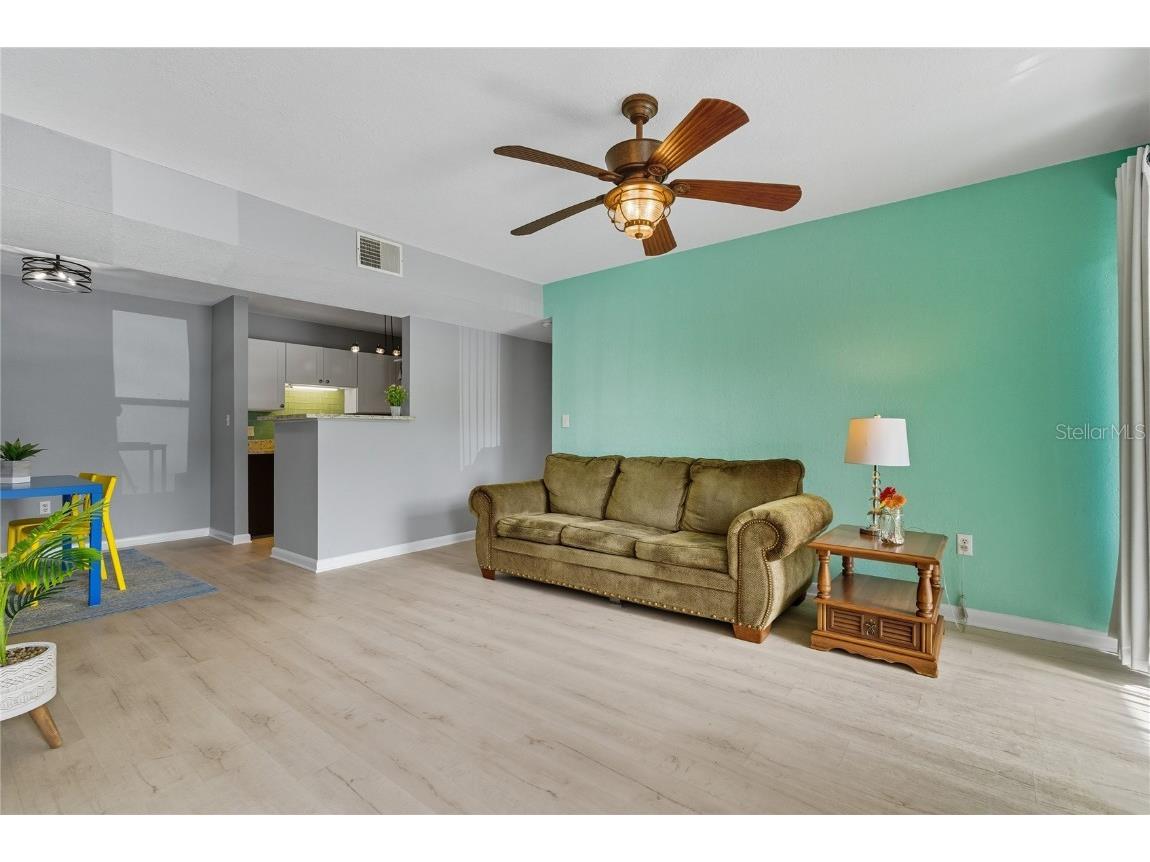 455 Alt 19 S #17 Palm Harbor FL 34683 TB8433784 image17