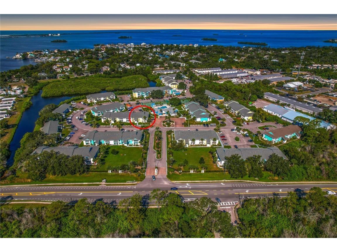 455 Alt 19 S #17 Palm Harbor FL 34683 TB8433784 image2