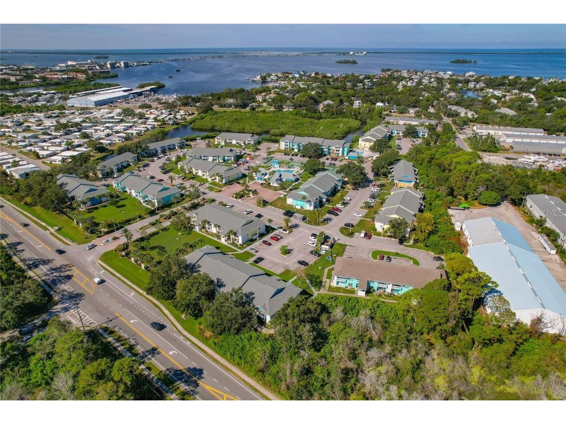 455 Alt 19 S #17 Palm Harbor FL 34683 TB8433784 image43