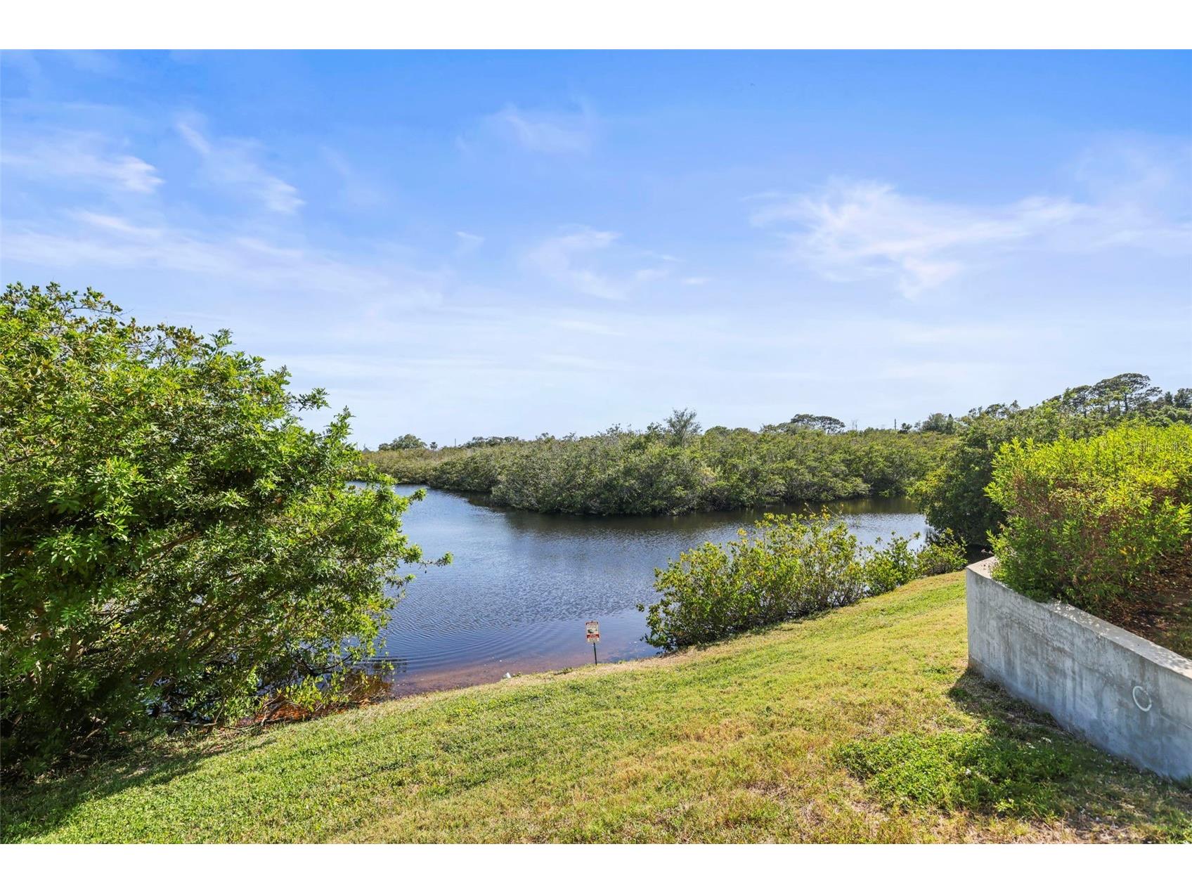 455 Alt 19 S #175 Palm Harbor FL 34683 TB8504305 image28