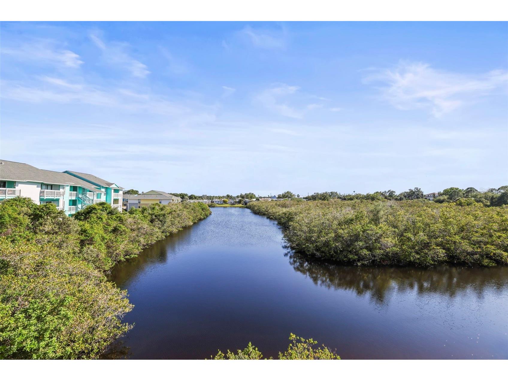 455 Alt 19 S #175 Palm Harbor FL 34683 TB8504305 image29
