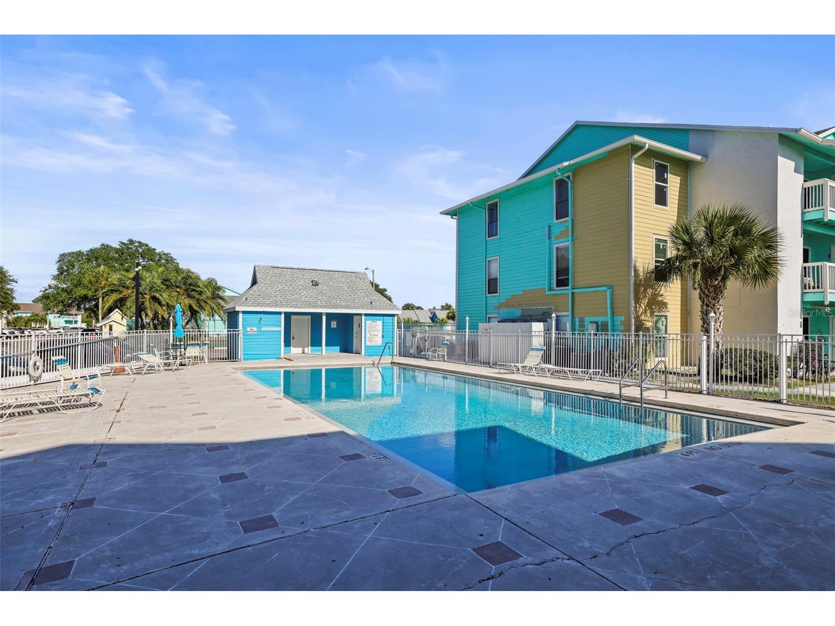 455 Alt 19 S #175 Palm Harbor FL 34683 TB8504305 image33