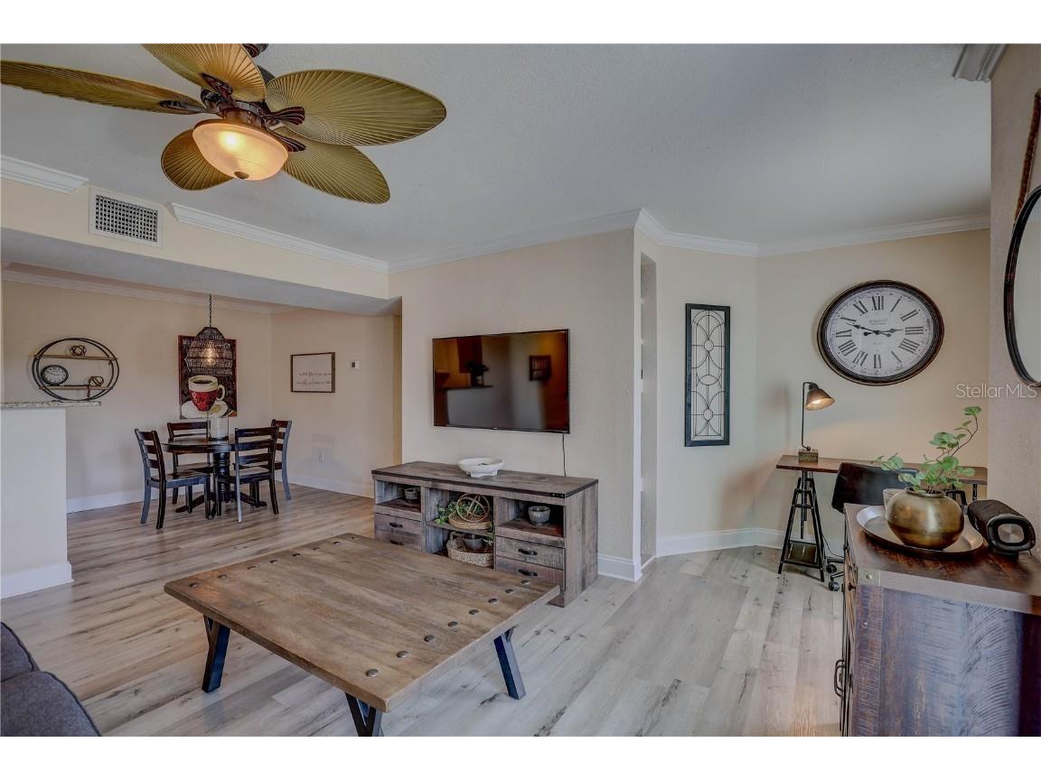 455 Alt 19 S #189 Palm Harbor FL 34683 TB8407491 image11