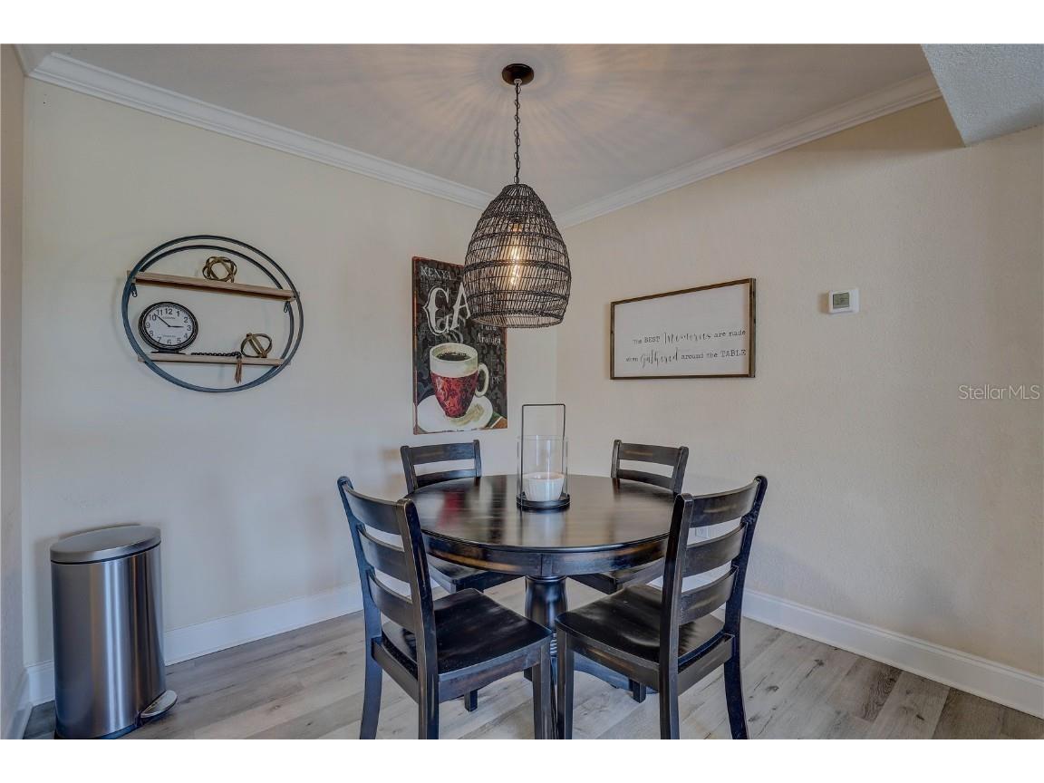 455 Alt 19 S #189 Palm Harbor FL 34683 TB8407491 image14