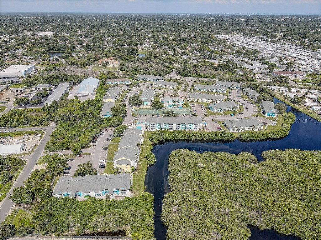 455 Alt 19 S #189 Palm Harbor FL 34683 TB8407491 image48