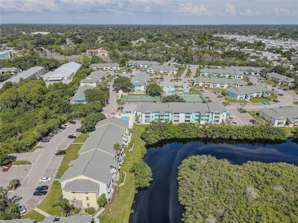 455 Alt 19 S #189 Palm Harbor FL 34683 TB8407491 image51