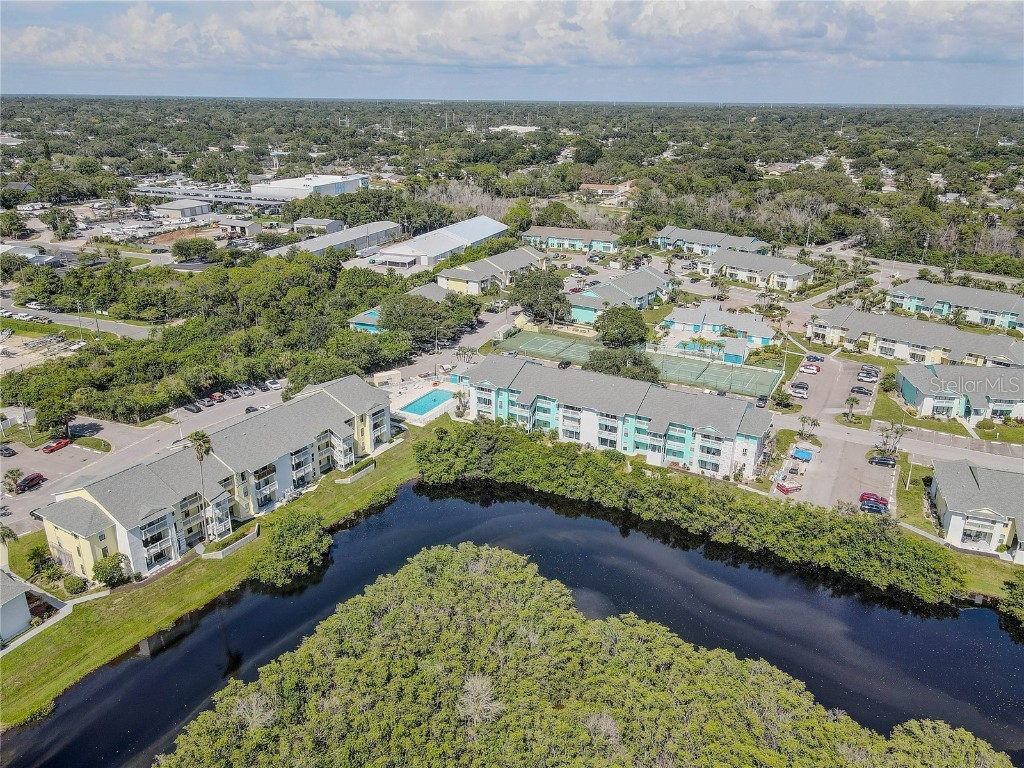 455 Alt 19 S #189 Palm Harbor FL 34683 TB8407491 image52