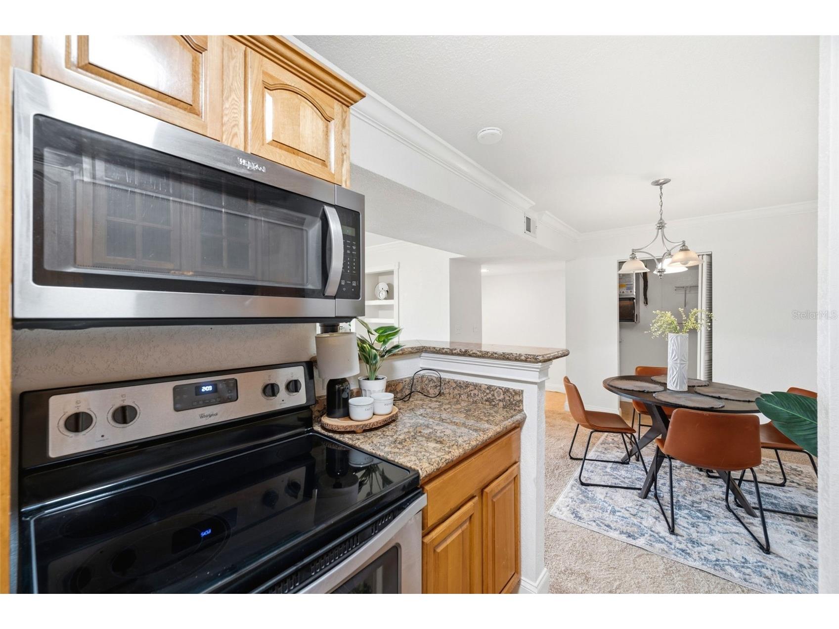 455 Alt 19 S #216 Palm Harbor FL 34683 TB8525123 image10