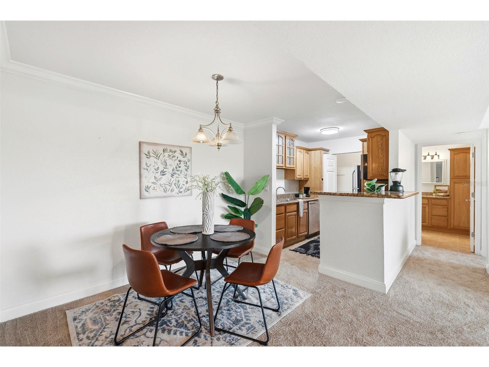 455 Alt 19 S #216 Palm Harbor FL 34683 TB8525123 image12