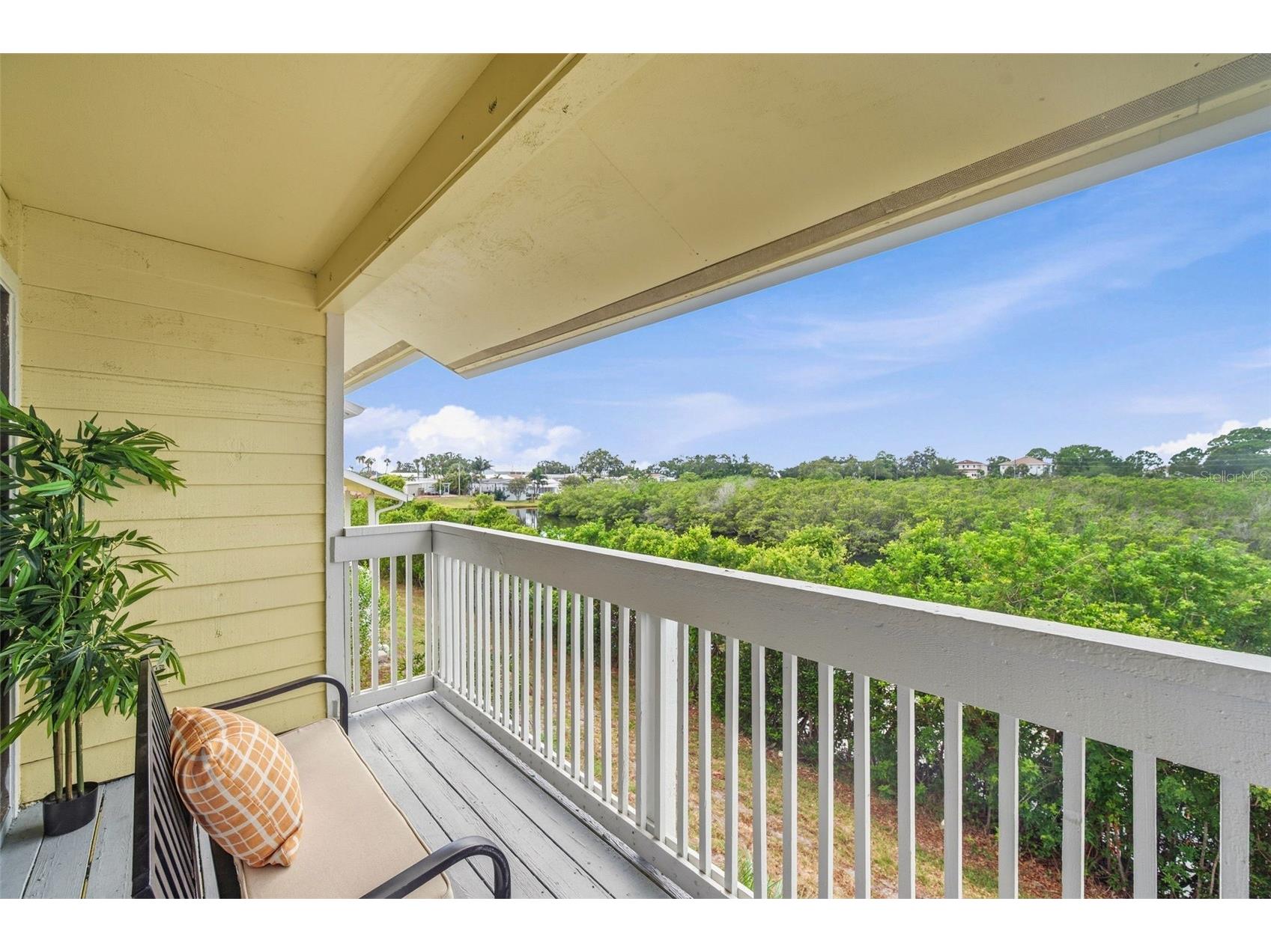 455 Alt 19 S #216 Palm Harbor FL 34683 TB8525123 image22
