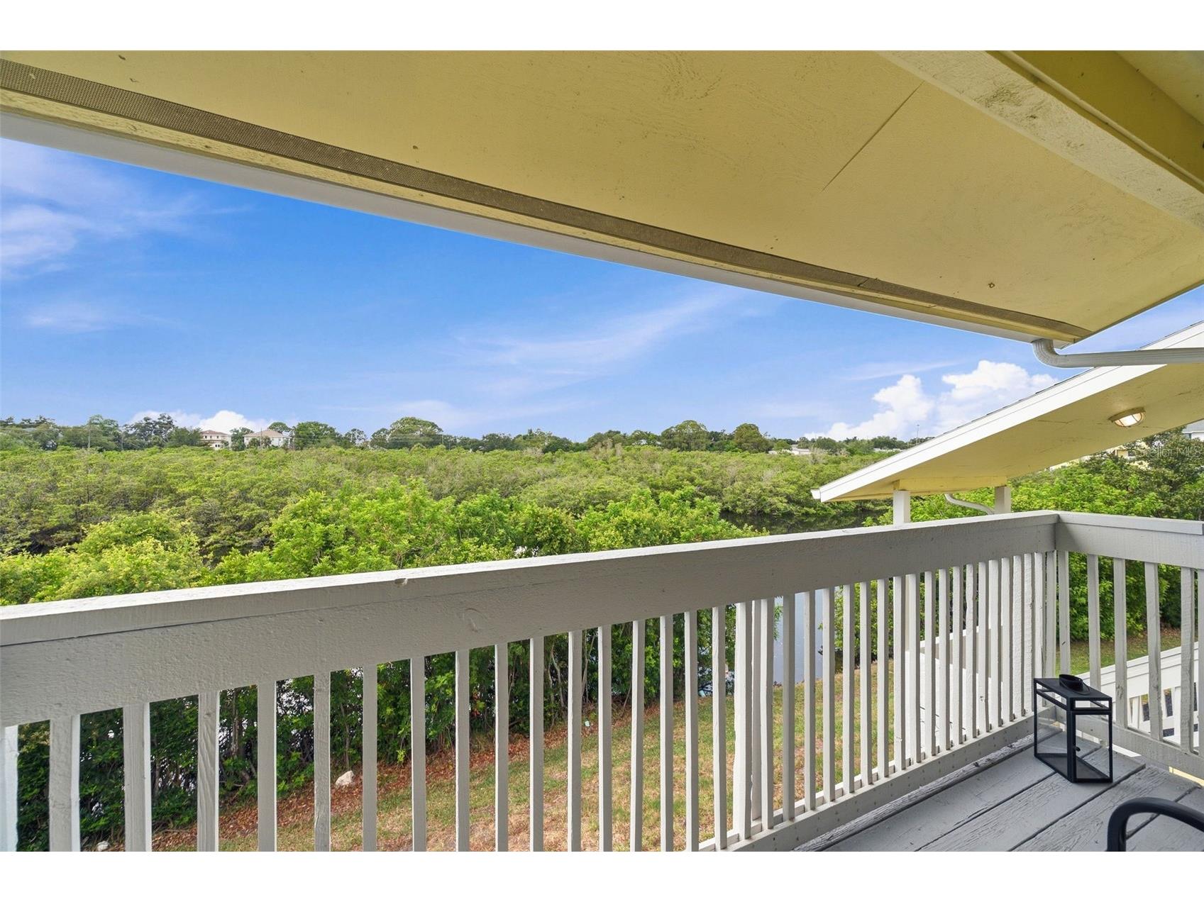 455 Alt 19 S #216 Palm Harbor FL 34683 TB8525123 image24