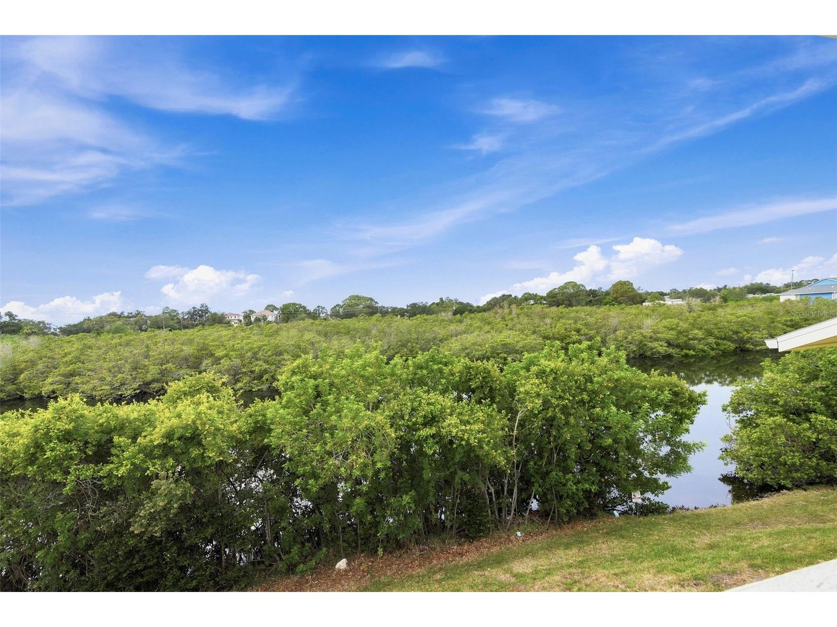 455 Alt 19 S #216 Palm Harbor FL 34683 TB8525123 image25