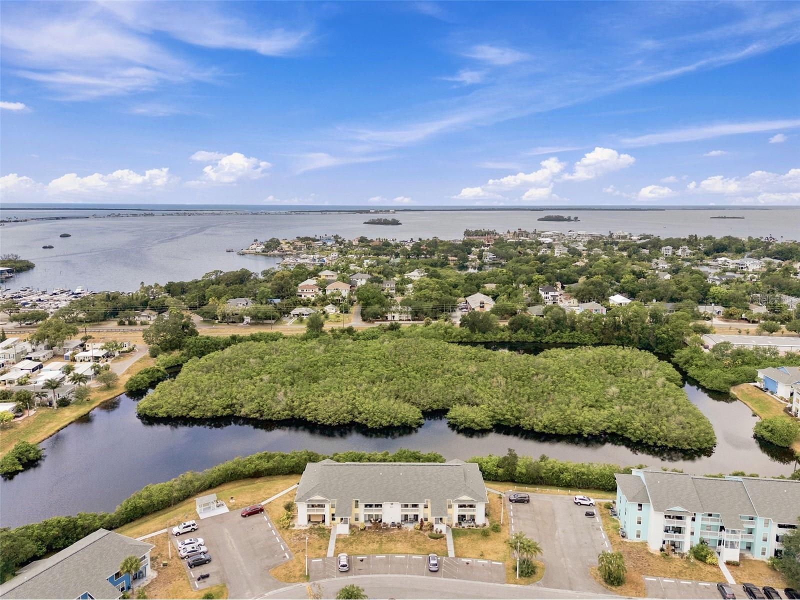 455 Alt 19 S #216 Palm Harbor FL 34683 TB8525123 image27