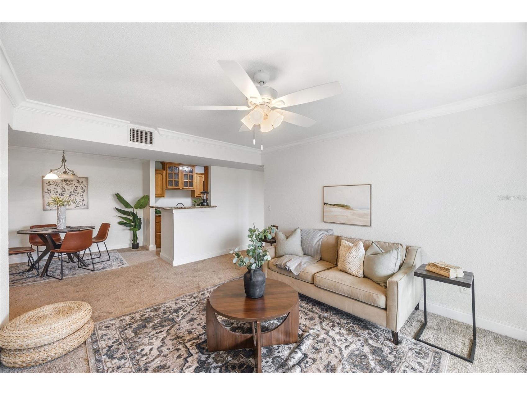 455 Alt 19 S #216 Palm Harbor FL 34683 TB8525123 image4