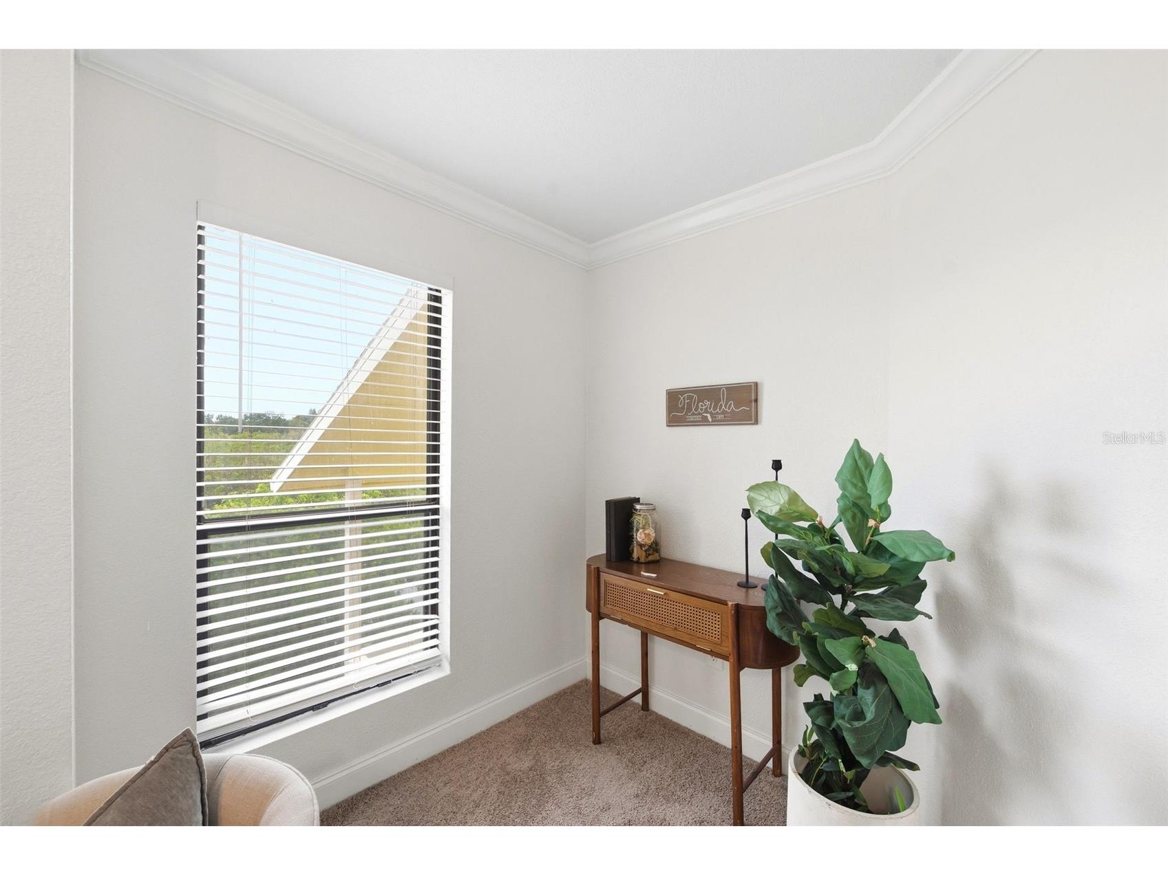 455 Alt 19 S #216 Palm Harbor FL 34683 TB8525123 image5