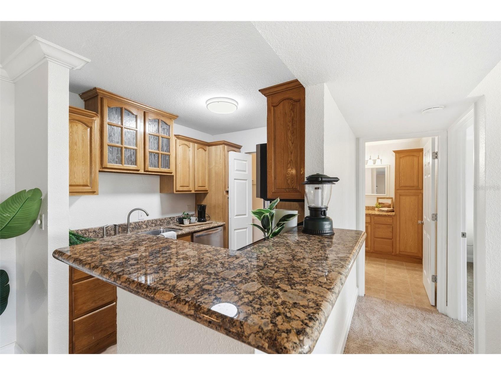 455 Alt 19 S #216 Palm Harbor FL 34683 TB8525123 image8