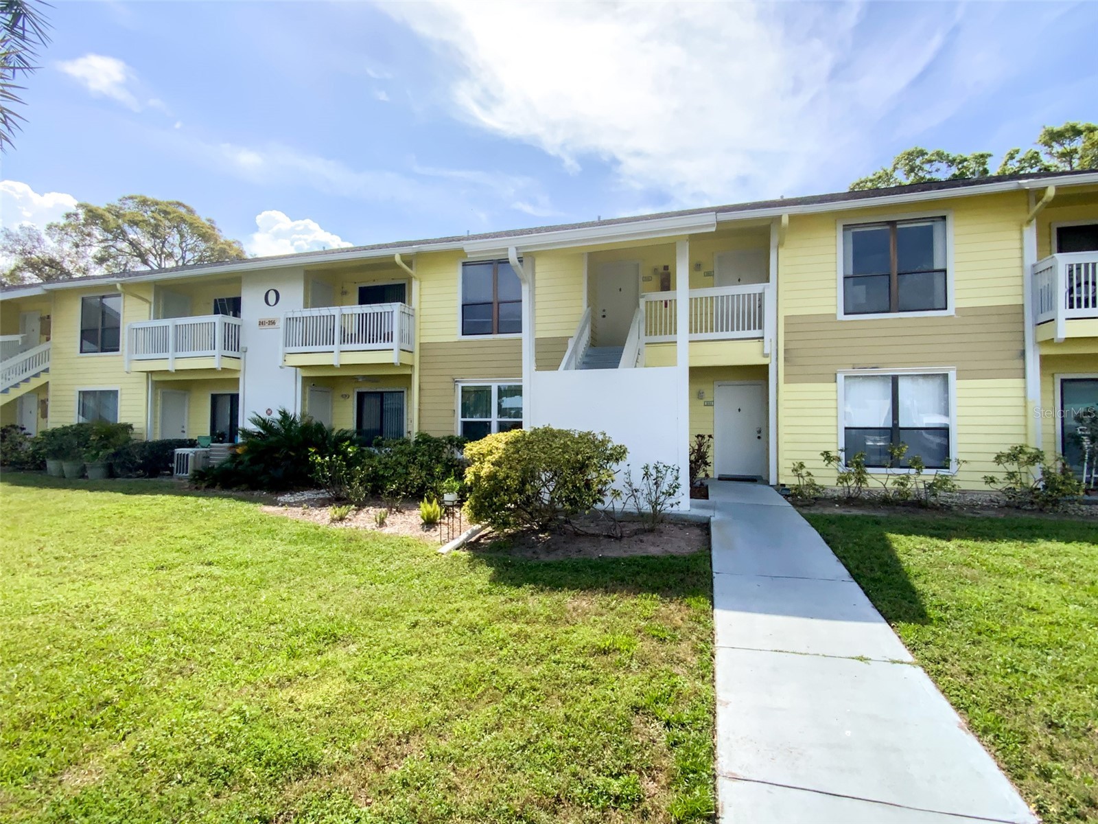 455 Alt 19 S #246 Palm Harbor FL 34683 TB8488936 image1