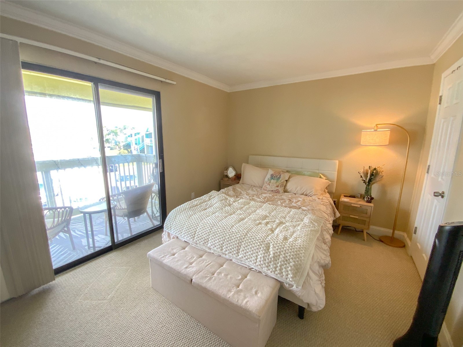 455 Alt 19 S #246 Palm Harbor FL 34683 TB8488936 image13