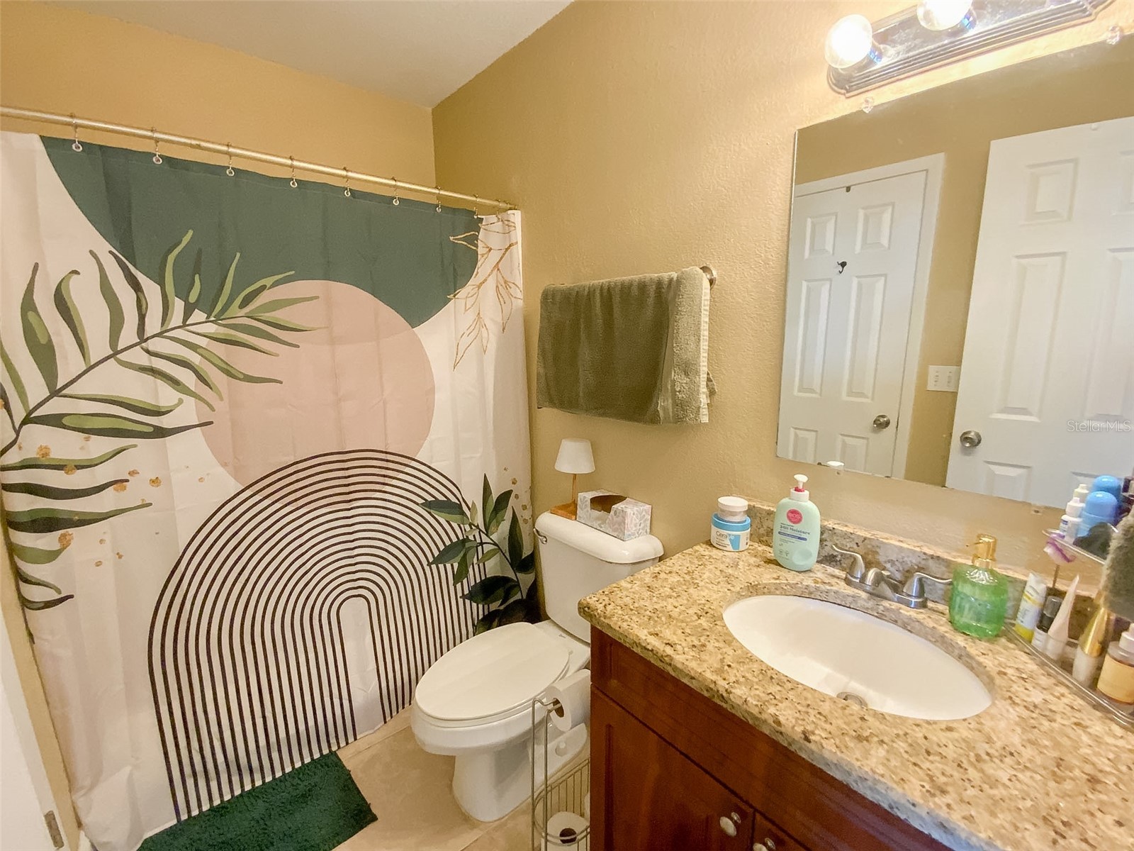 455 Alt 19 S #246 Palm Harbor FL 34683 TB8488936 image14