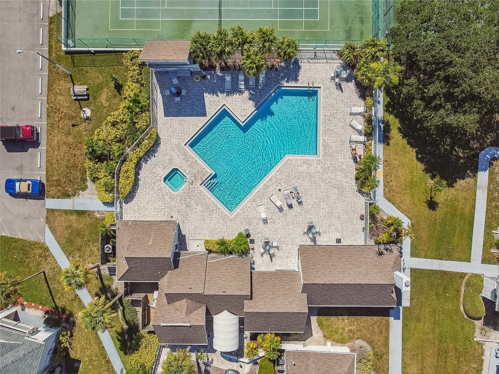 455 Alt 19 S #246 Palm Harbor FL 34683 TB8488936 image19