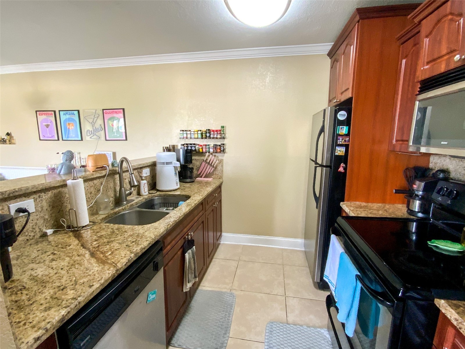 455 Alt 19 S #246 Palm Harbor FL 34683 TB8488936 image4
