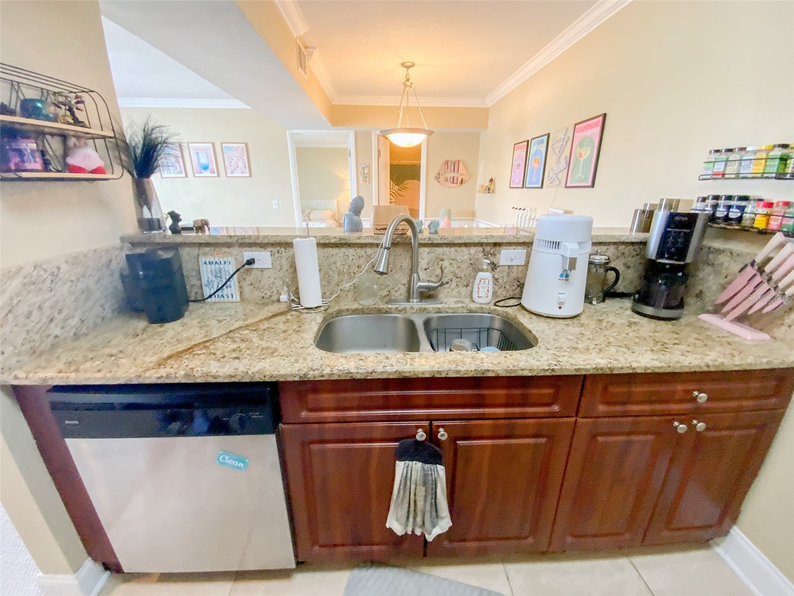 455 Alt 19 S #246 Palm Harbor FL 34683 TB8488936 image5