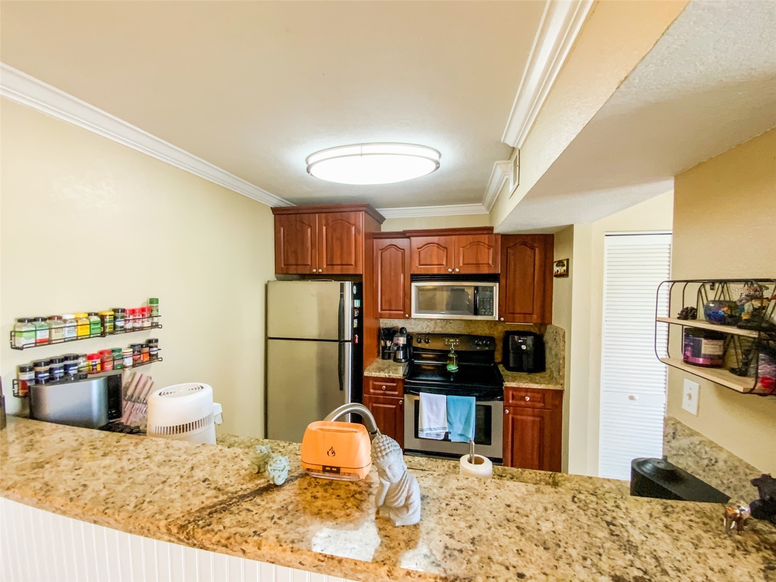 455 Alt 19 S #246 Palm Harbor FL 34683 TB8488936 image6