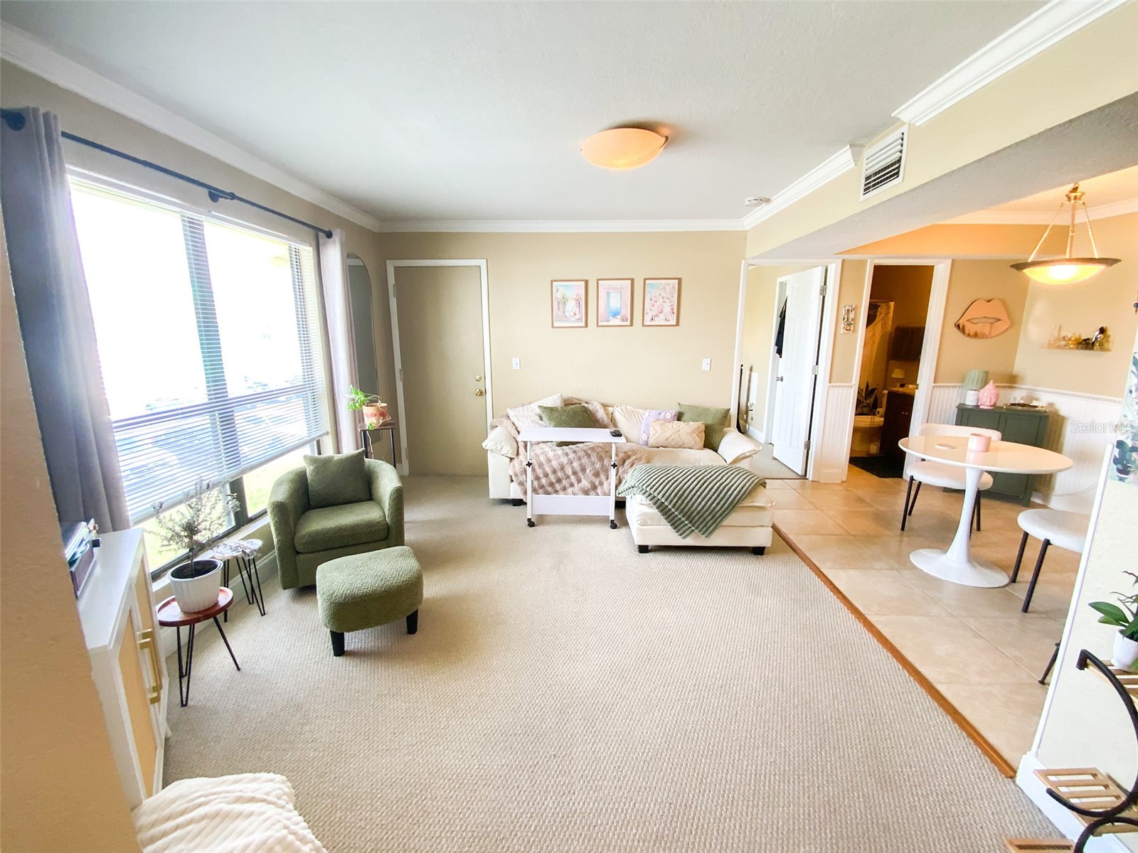 455 Alt 19 S #246 Palm Harbor FL 34683 TB8488936 image8