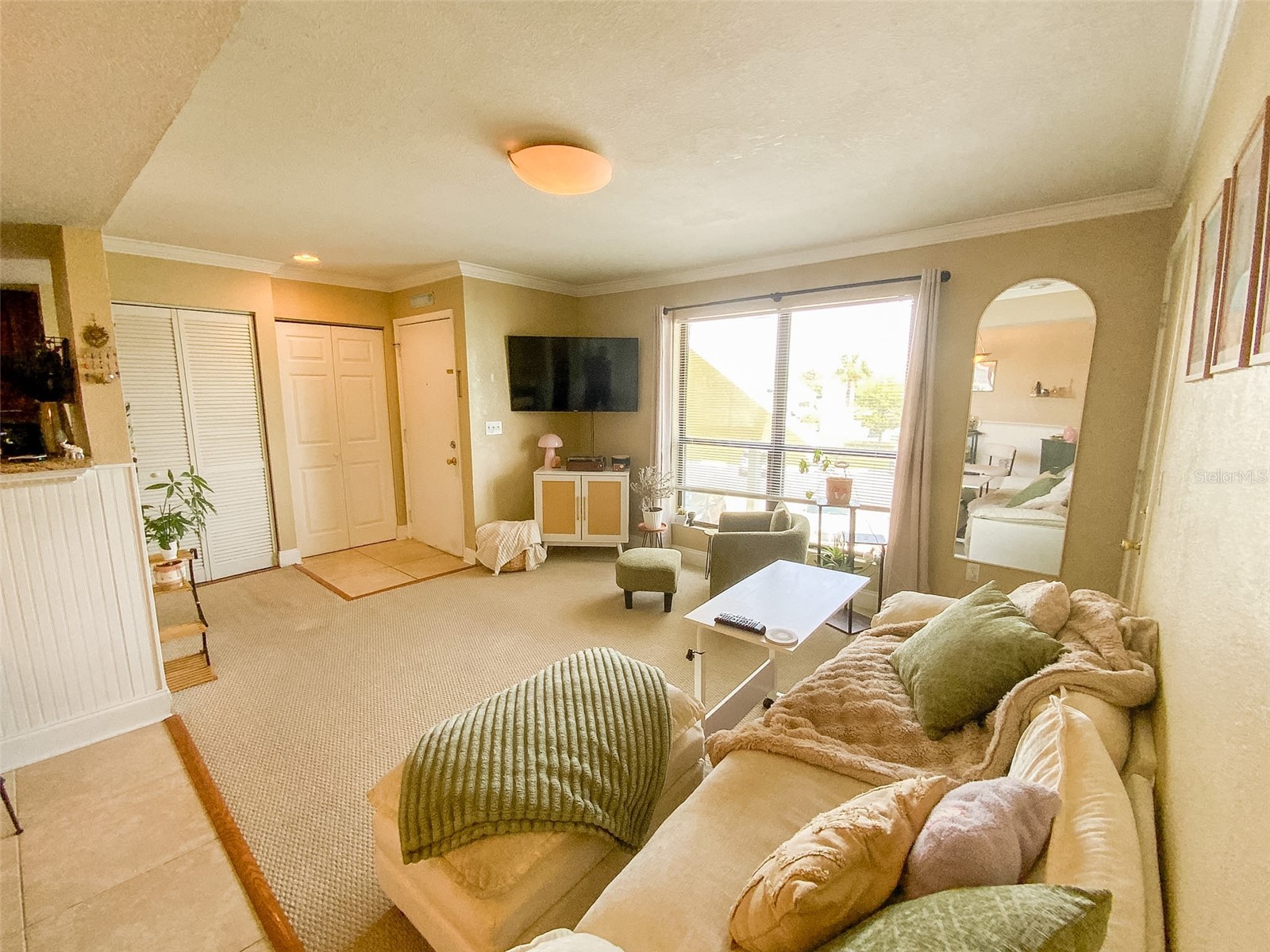 455 Alt 19 S #246 Palm Harbor FL 34683 TB8488936 image9