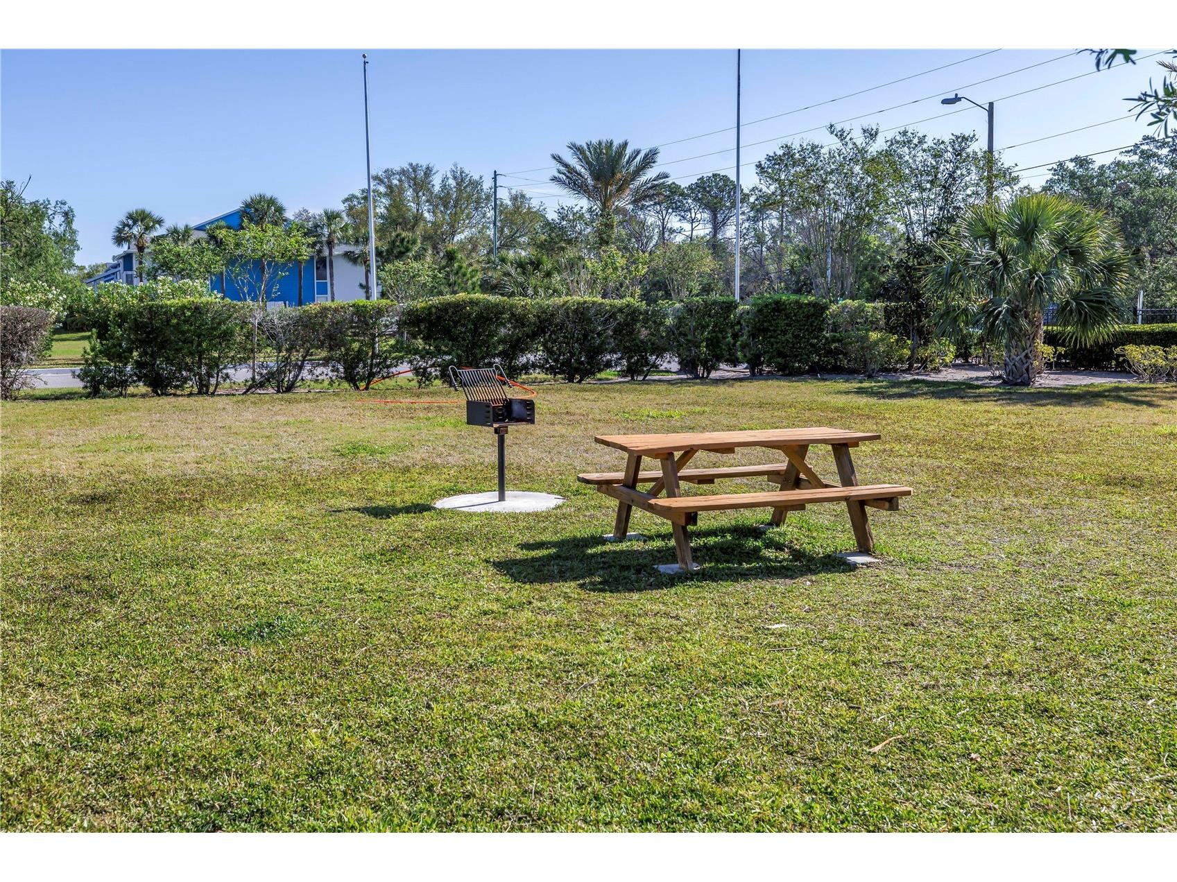 455 Alt 19 S #266 Palm Harbor FL 34683 TB8495854 image30