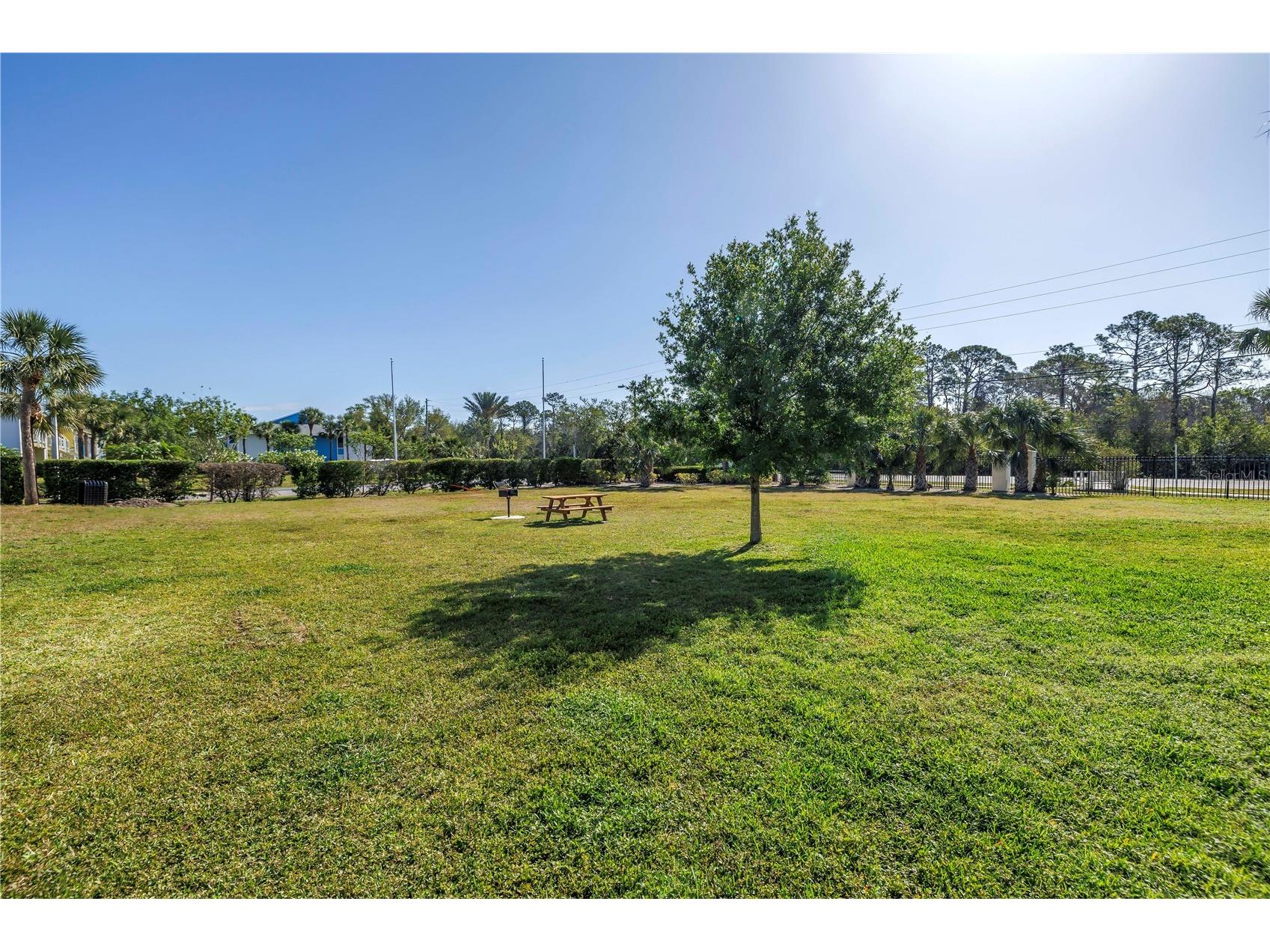 455 Alt 19 S #266 Palm Harbor FL 34683 TB8495854 image31