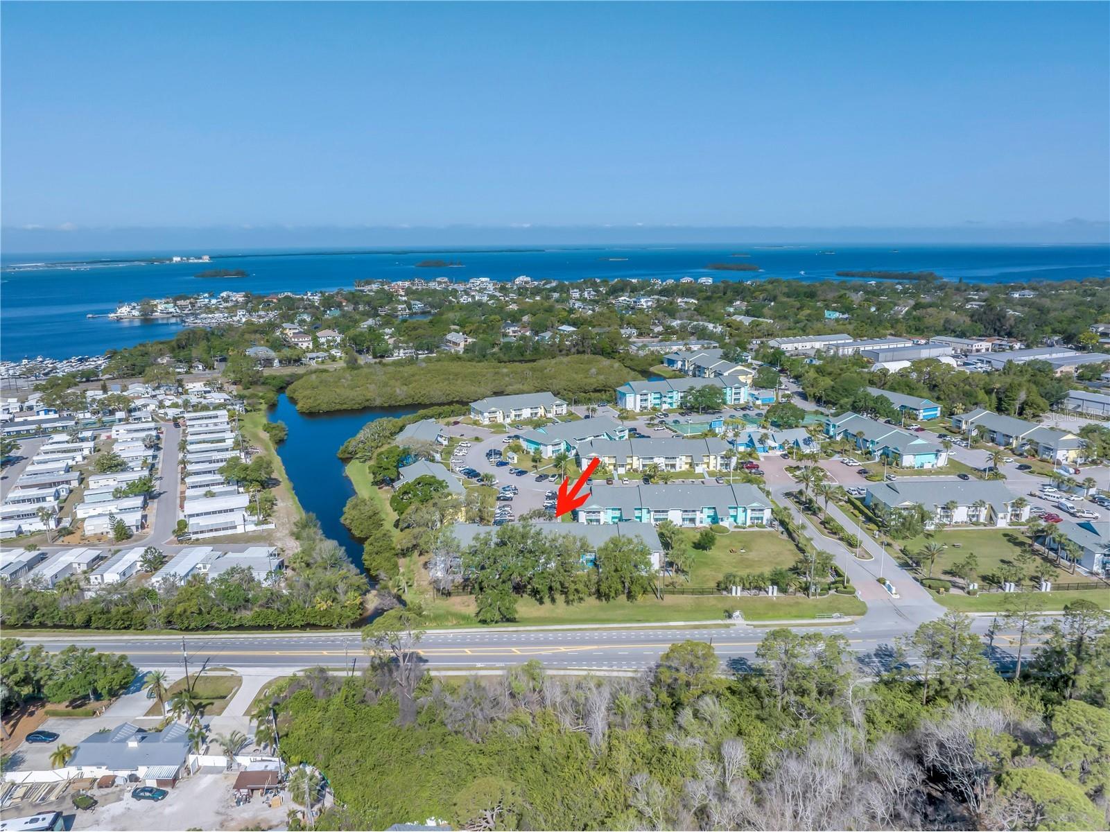 455 Alt 19 S #266 Palm Harbor FL 34683 TB8495854 image33