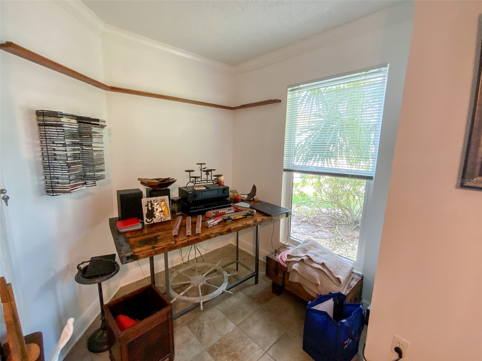455 Alt 19 S #29 Palm Harbor FL 34683 TB8513965 image12