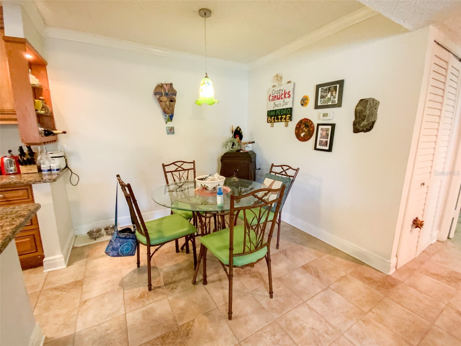 455 Alt 19 S #29 Palm Harbor FL 34683 TB8513965 image14