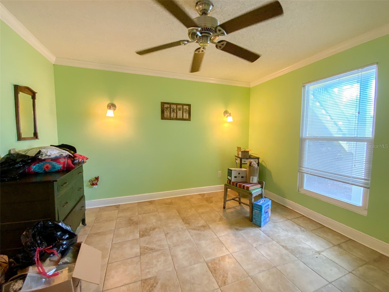 455 Alt 19 S #29 Palm Harbor FL 34683 TB8513965 image19