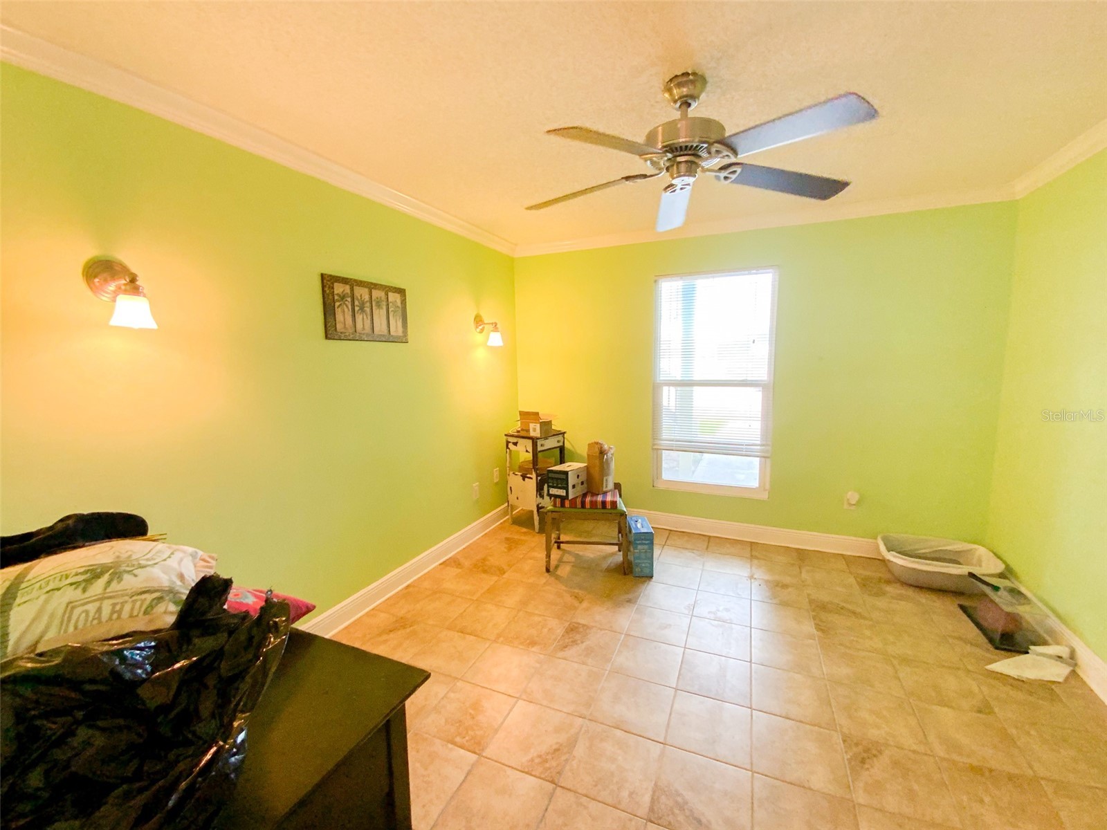 455 Alt 19 S #29 Palm Harbor FL 34683 TB8513965 image20