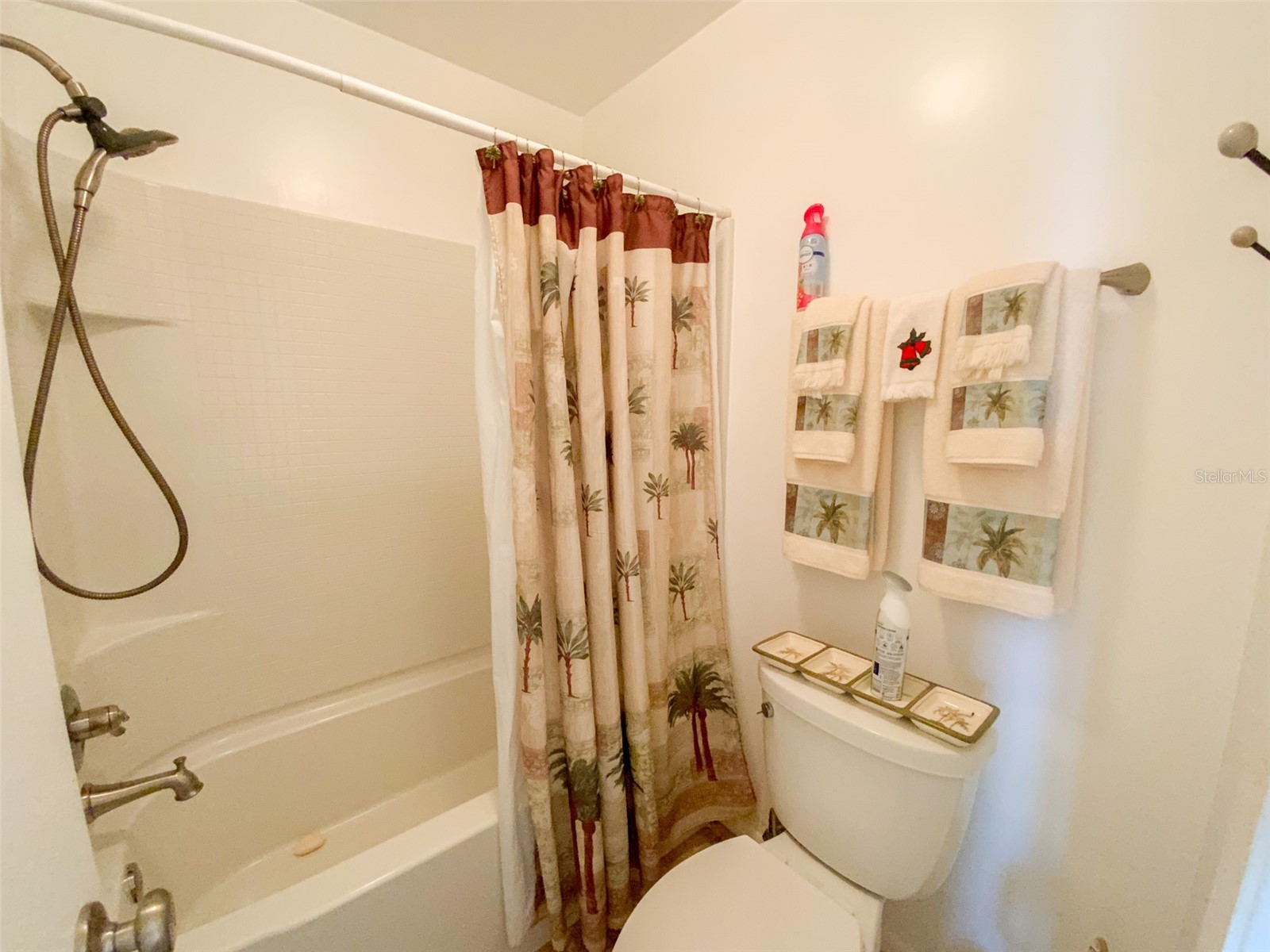 455 Alt 19 S #29 Palm Harbor FL 34683 TB8513965 image22