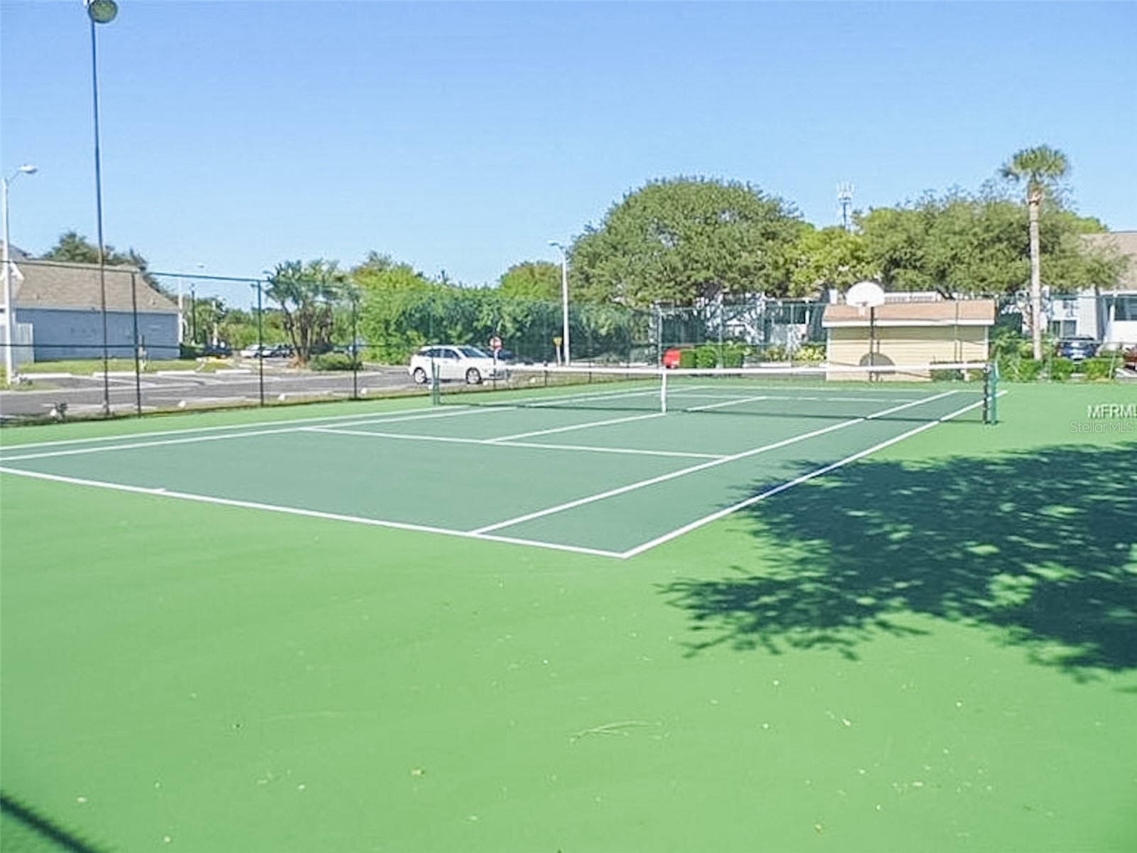 455 Alt 19 S #29 Palm Harbor FL 34683 TB8513965 image32