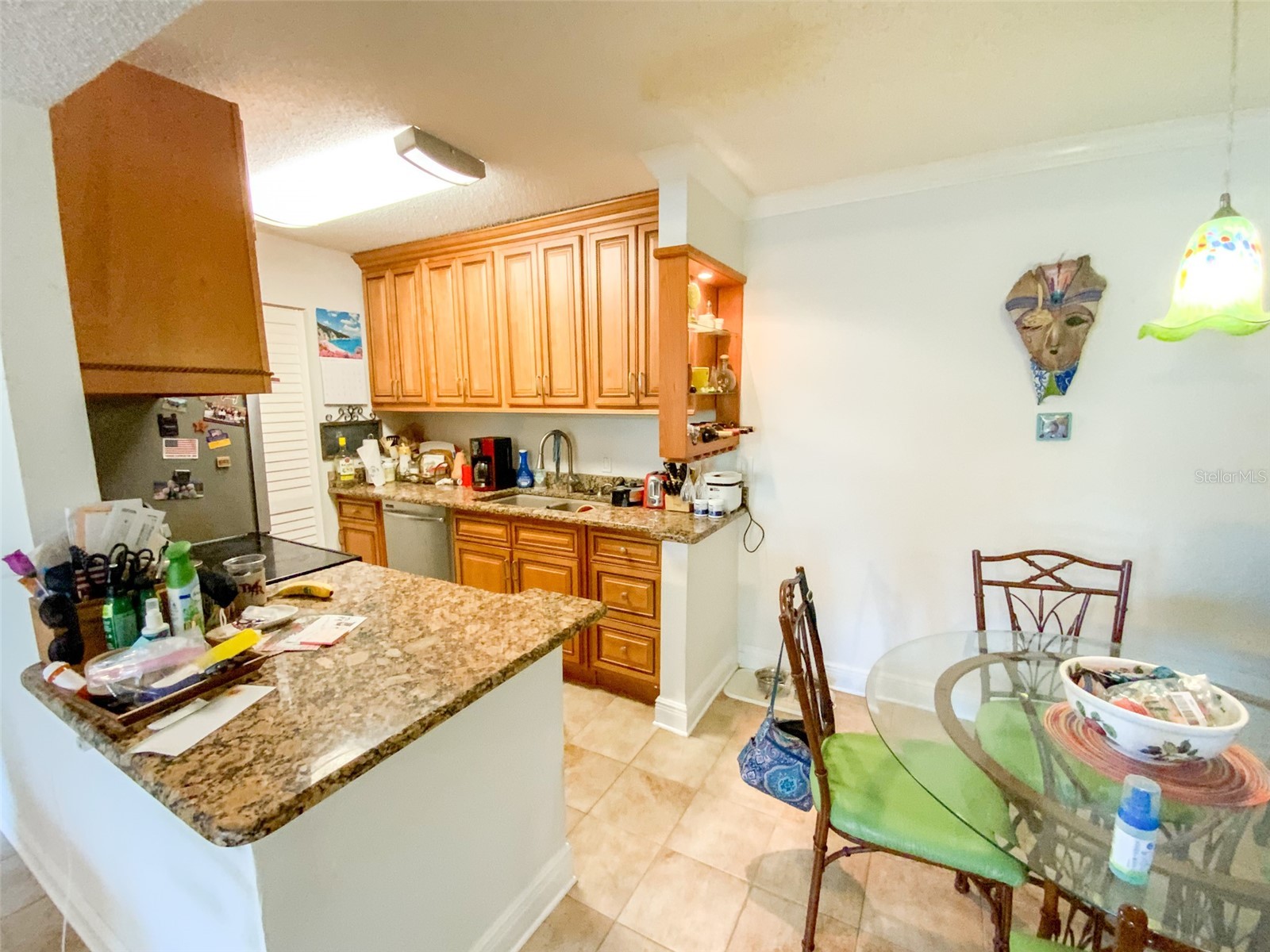 455 Alt 19 S #29 Palm Harbor FL 34683 TB8513965 image7