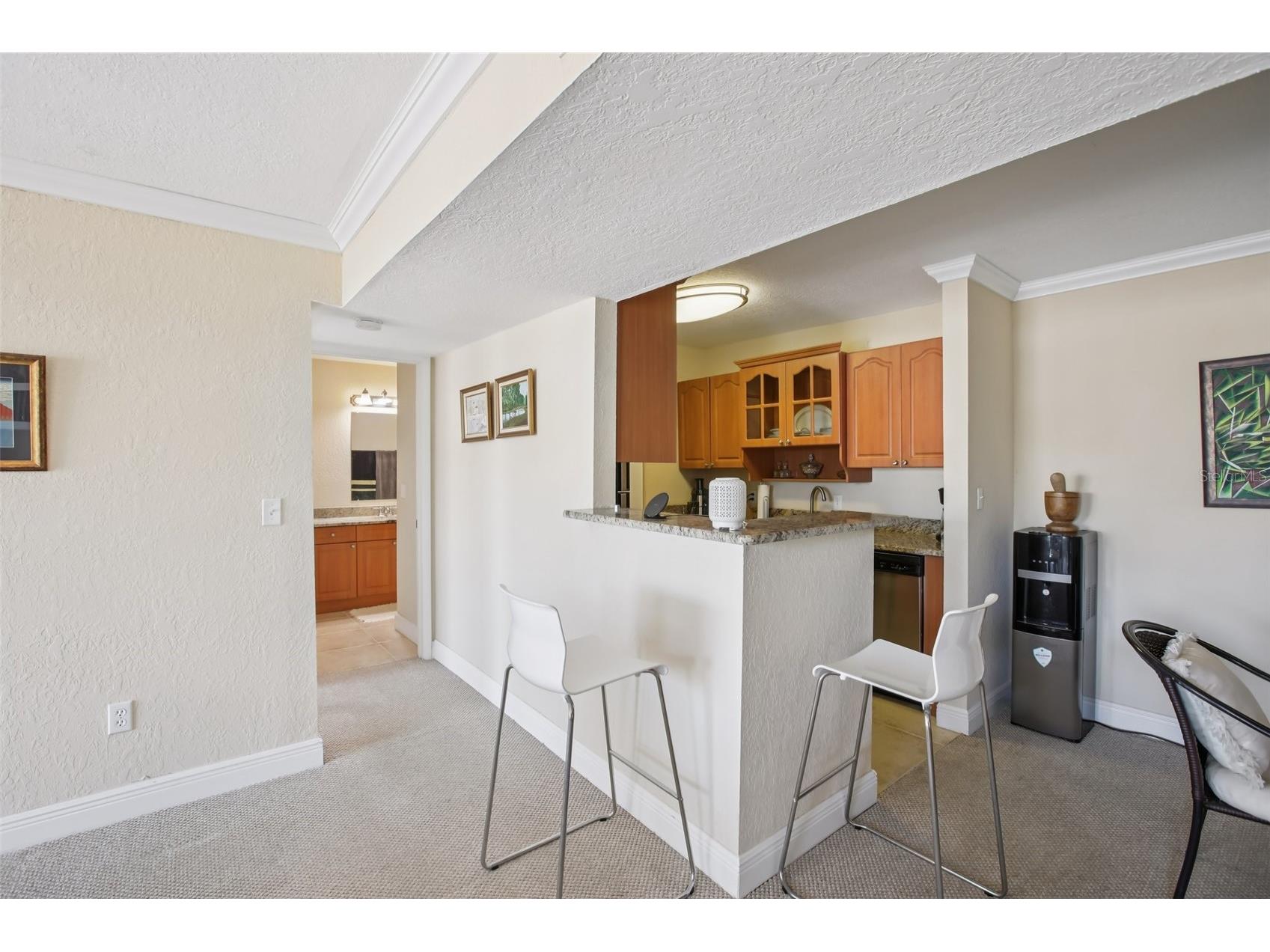 455 Alt 19 S #42 Palm Harbor FL 34683 TB8468572 image25