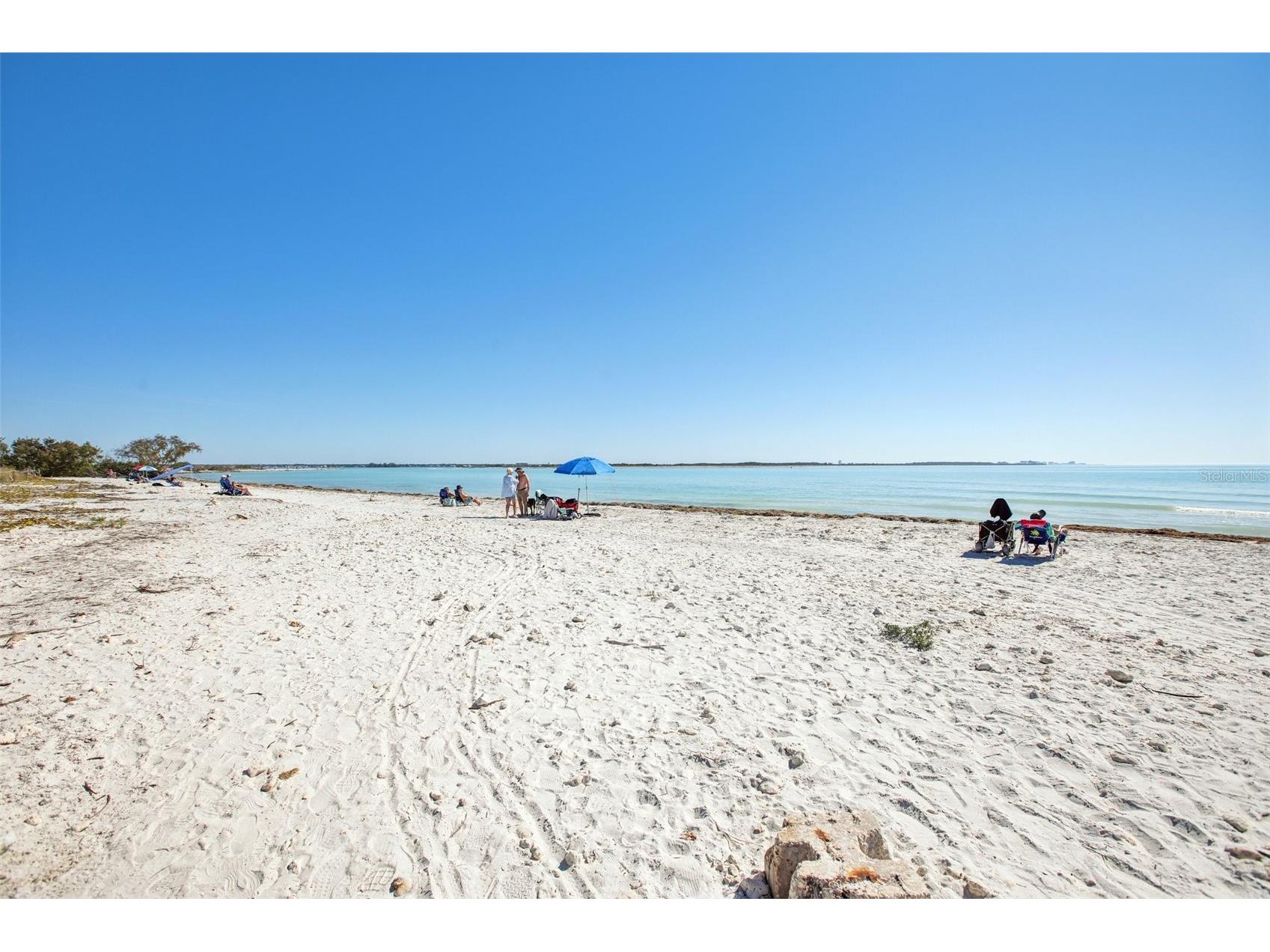 455 Alt 19 S #42 Palm Harbor FL 34683 TB8468572 image62