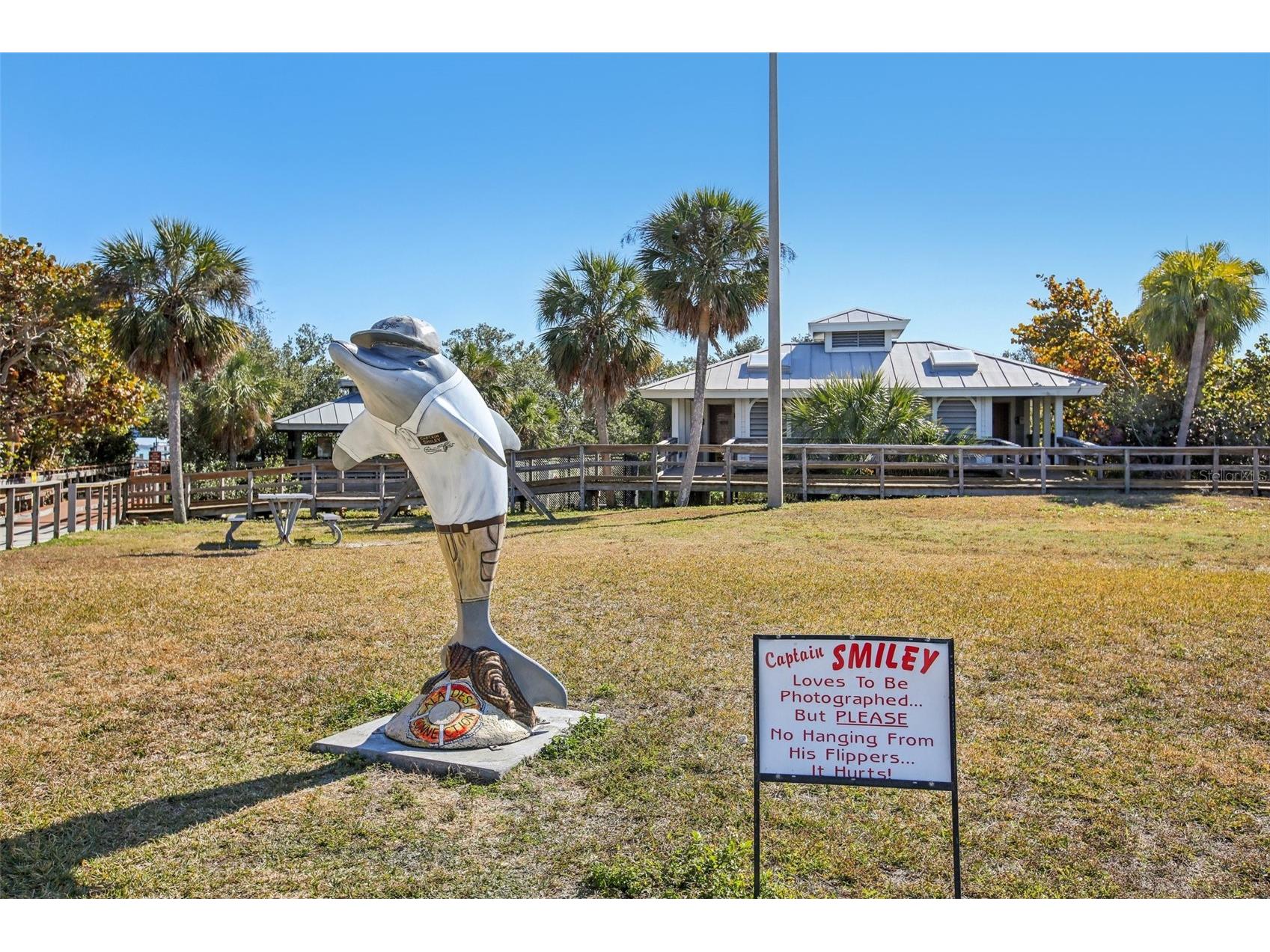 455 Alt 19 S #42 Palm Harbor FL 34683 TB8468572 image68
