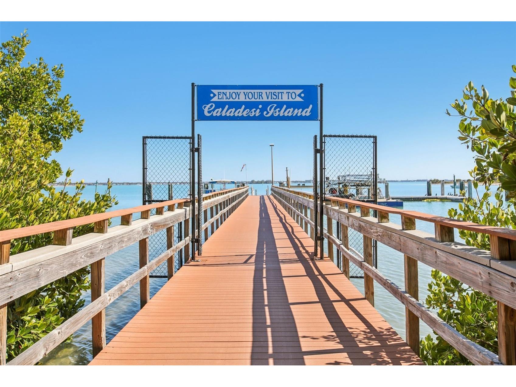 455 Alt 19 S #42 Palm Harbor FL 34683 TB8468572 image69