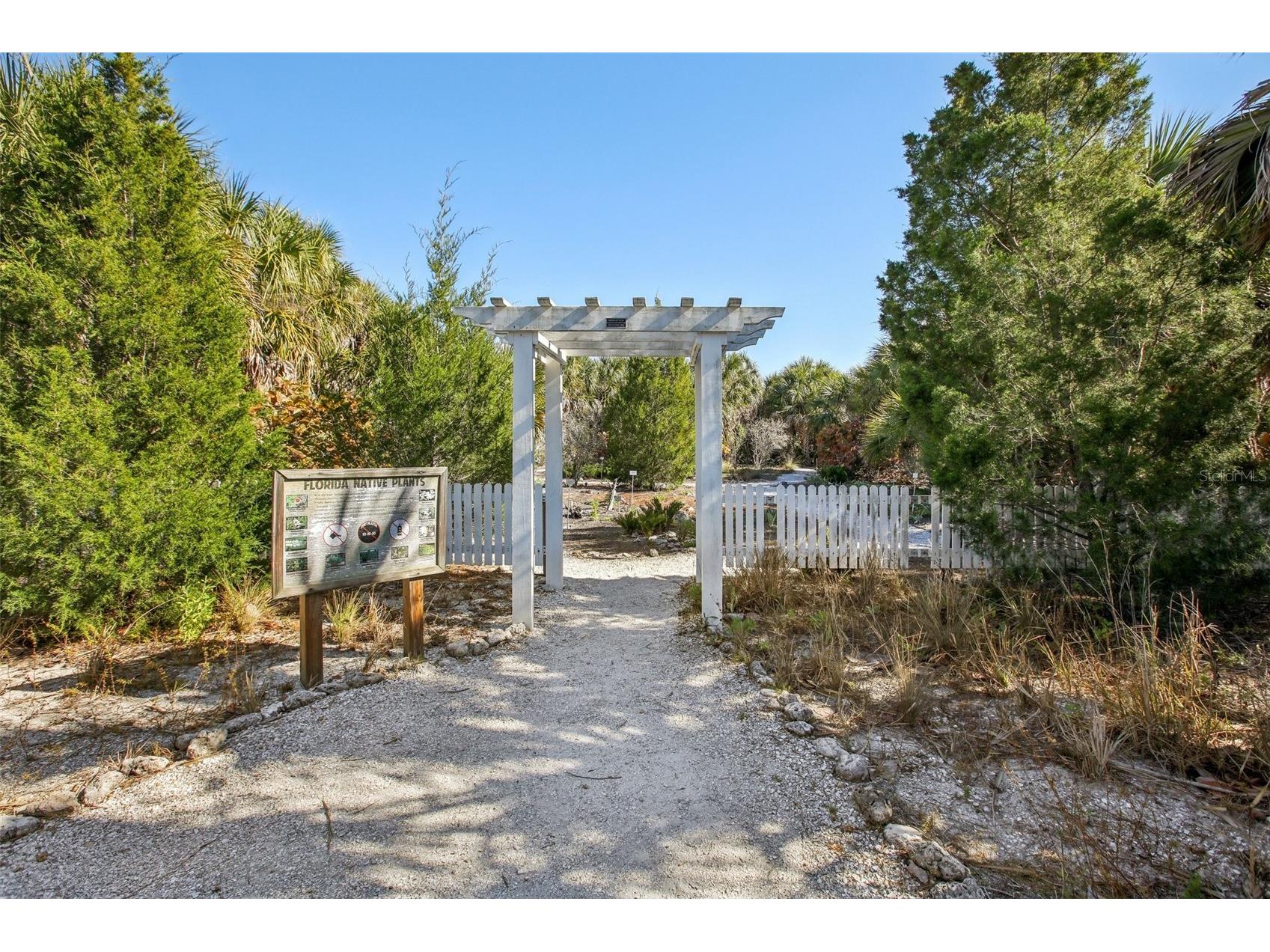 455 Alt 19 S #42 Palm Harbor FL 34683 TB8468572 image71