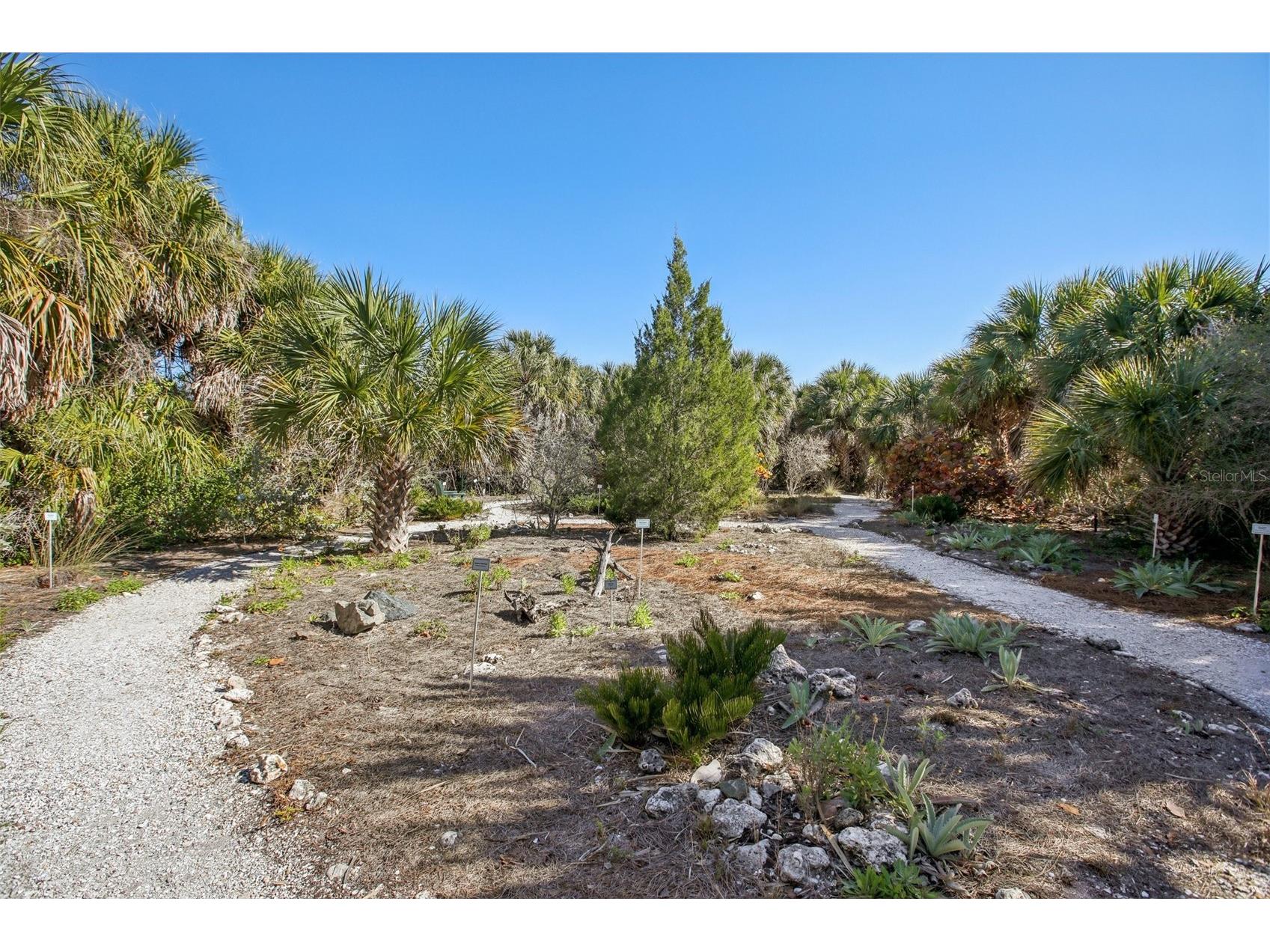 455 Alt 19 S #42 Palm Harbor FL 34683 TB8468572 image72