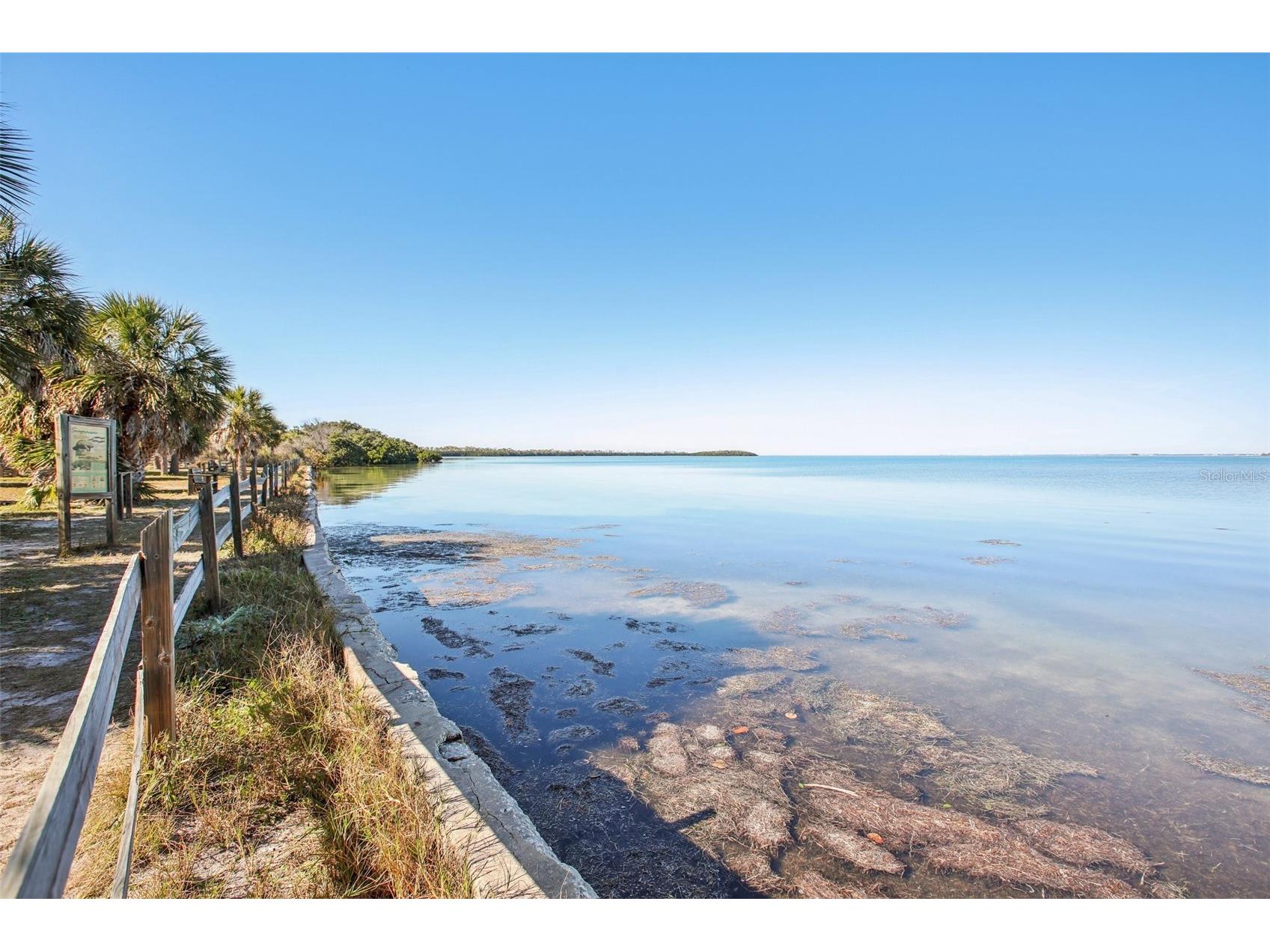 455 Alt 19 S #42 Palm Harbor FL 34683 TB8468572 image74